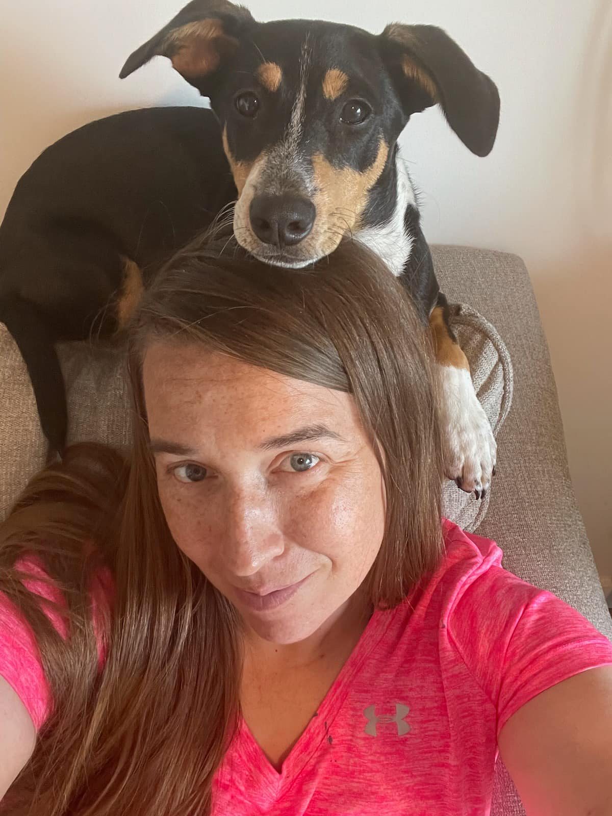Meet Casey! 4 months old&hellip; he&rsquo;s come a long way from terror, I mean terrier to becoming a well mannered puppy😂. Welcome to the Pack Casey and Laura! Keep up the great training! 🙌🐾

