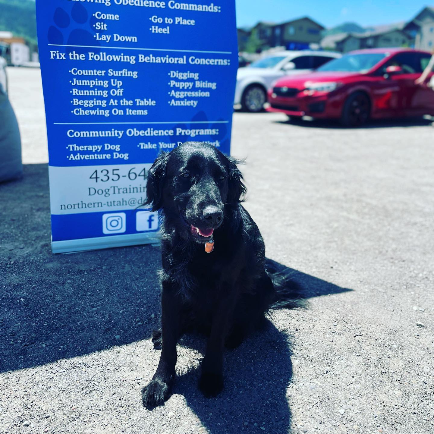 We&rsquo;re back at the Park City Farmers Market until 5 pm this afternoon! Gryff is enjoying the ☀️! 
