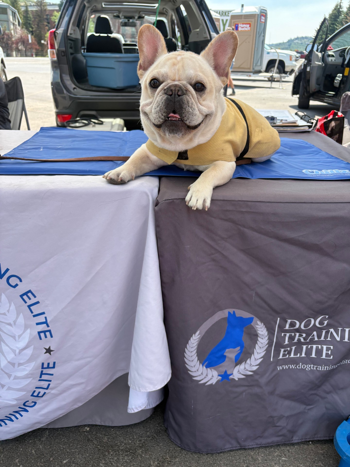 🐾✨ Jesse is loving all the attention at the farmers market today! ✨🐾
As a service dog in training, he's learning to stay calm, focused, and confident around all the sights, sounds, and friendly faces.
Have you ever thought about making your best friend a service dog? We'd love to meet you and your pup and chat about our Service Dog Program!
🐶 Tell us in the comments: What makes your dog special? 💙🐾
