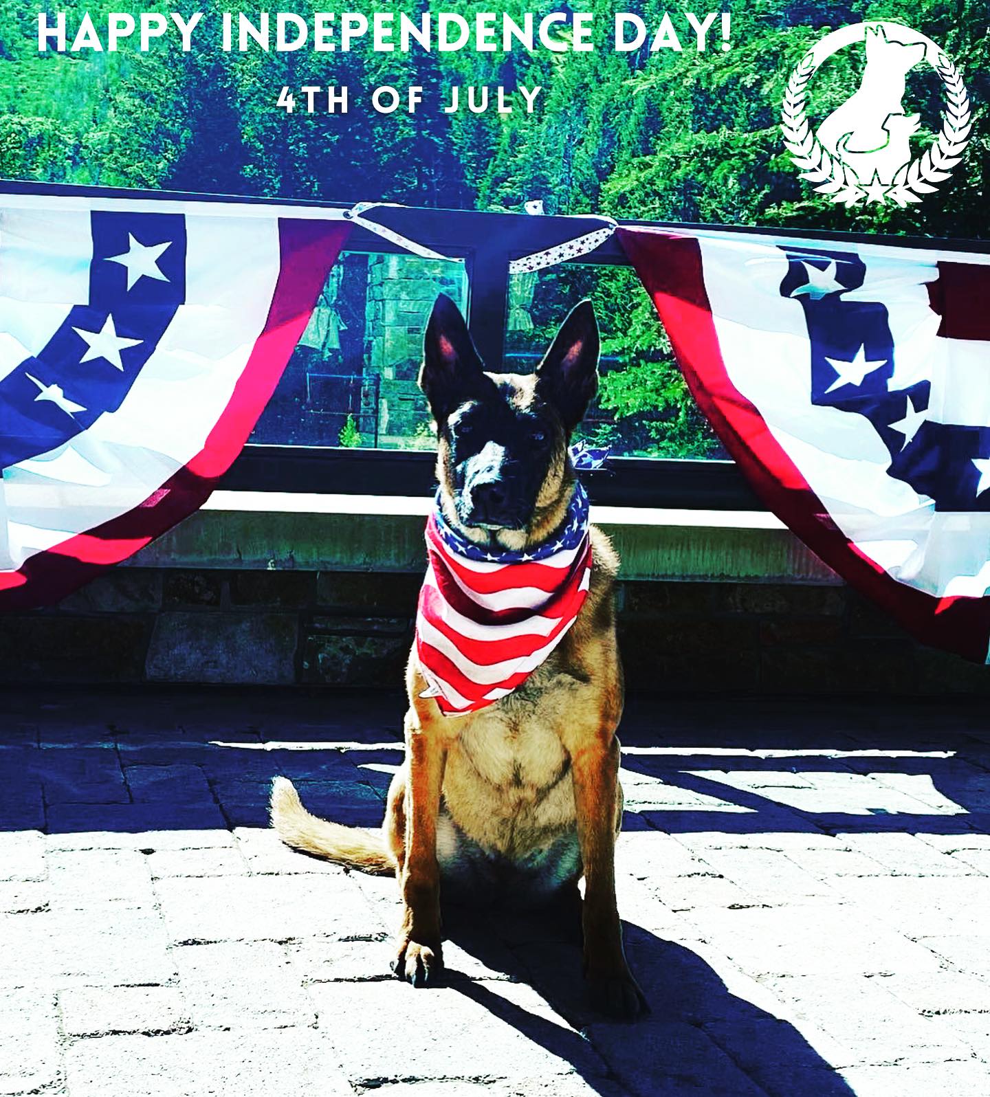 Happy 4th from your team at Dog Training Elite Northern Utah!