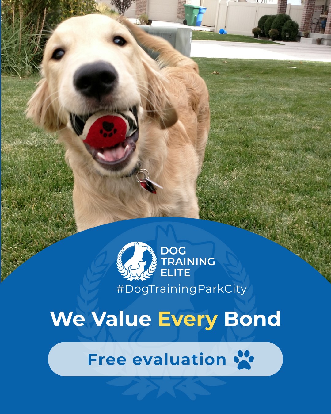 Is your dog really telling you how they feel? Every dog-owner relationship is unique. Training with Colleen, Trevor and Taylor at Dog Training Elite Park City builds communication, focus, and trust, whether you&rsquo;re working on obedience, therapy, or service skills. Learning to read your dog&rsquo;s signals strengthens your bond and helps them thrive in every situation.

 Warm up your winter with a well-trained pup. Schedule your free in-home evaluation and see why families in Park City, Heber City, and surrounding areas trust Dog Training Elite for results that last through every season.
📍 https://maps.app.goo.gl/xL9ReWGfV8sPah9e9


