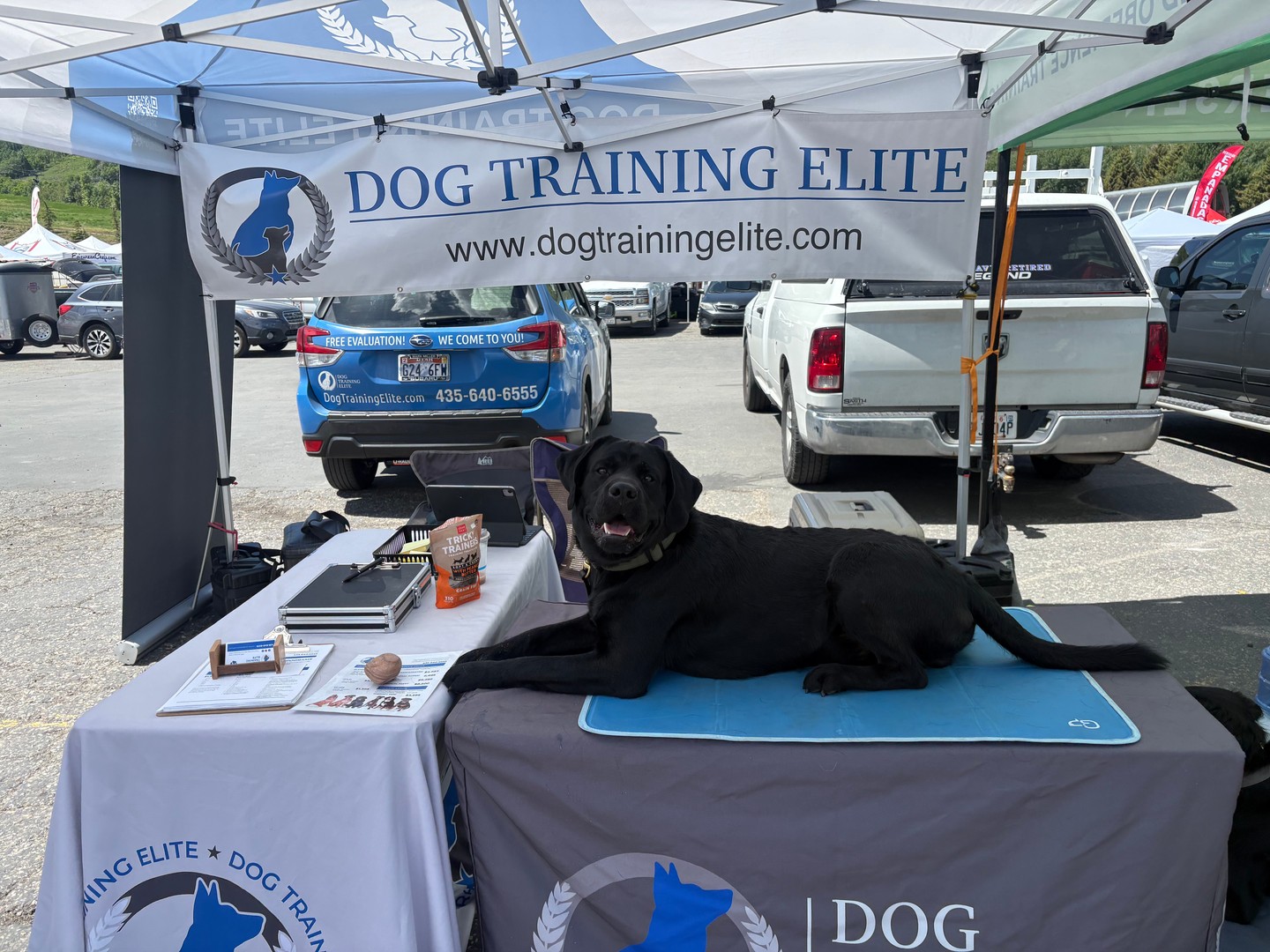 Join us next Wednesday at the Farmers Market in Park City! 🌿🐾

One of our favorite parts of these events is getting to see past clients stop by to say hello&mdash;and of course meeting so many new faces and pups along the way! 🐕💛

Whether you want to chat training, introduce us to your dog, or just come hang out, we&rsquo;d love to see you there.

Come say hi and enjoy a fun day at the market with us! ☀️🐾

