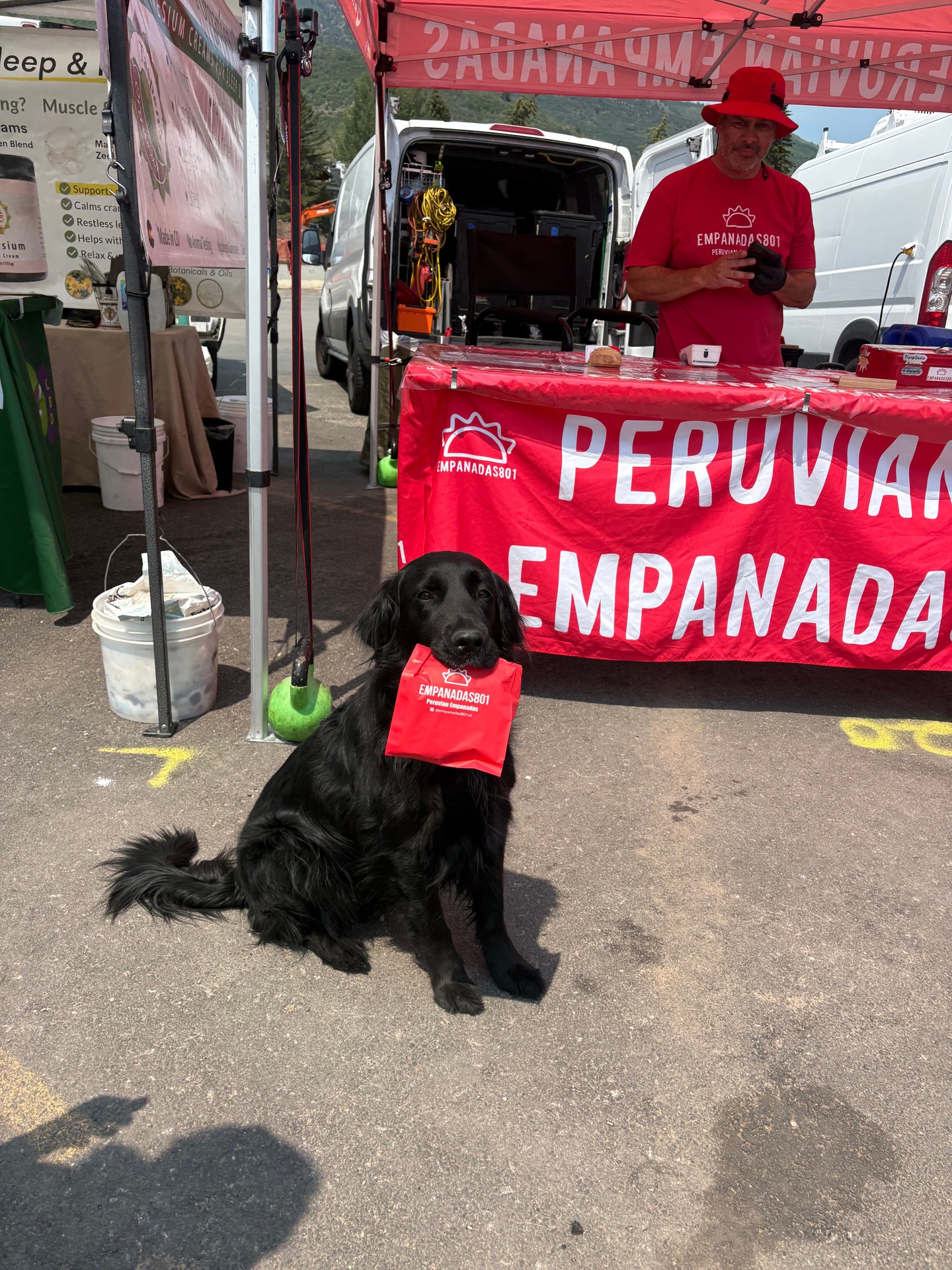 Come visit us at the farmers market in Park City on Wednesdays from 11-3! We'd love to chat about your training goals, meet your pup, and help you build a stronger bond with your best friend. Whether you're working on puppy basics, obedience, or behavior challenges, we're here to help.
And while you're making your rounds, be sure to stop by the empanadas booth and grab some delicious empanadas on your way through. Gryff definitely recommends it! 🐕❤️🥟
See you at the market! 
@empanadas801ut
