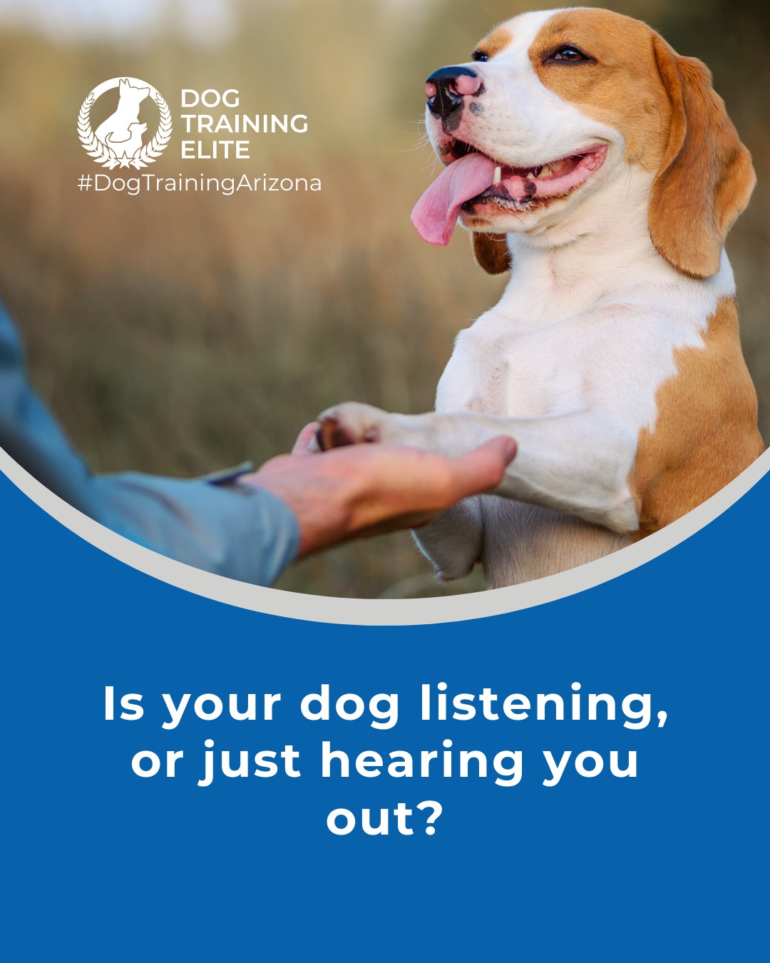 Ready for a calmer, more confident companion? 🐾

Obedience training builds more than structure, it builds trust. When your dog learns to listen, respond, and stay calm in any situation, life gets easier (and a lot more fun).

At Dog Training Elite Arizona near Westworld of Scottsdale and Statefarm Stadium, we focus on real-world obedience, teaching dogs to come, stay, heel, and respond reliably, whether you&rsquo;re at home, on a walk, or in a busy park.

Because true obedience isn&rsquo;t about control. It&rsquo;s about connection.

👉 From basic obedience to advanced service dog training, Dog Training Elite Arizona helps dogs near Phoenix build better behavior and stronger bonds this season. 🐾
📍 Phoenix - https://maps.app.goo.gl/YM3gnzaFHsvd5sfN8 
Gilbert - https://maps.app.goo.gl/SBSyPCWqNkwPJkop6 
Scottsdale - https://maps.app.goo.gl/4zRvDfmio9XuMyYH9 
West Valley - https://maps.app.goo.gl/vCnmWwR7NquE3dZMA



