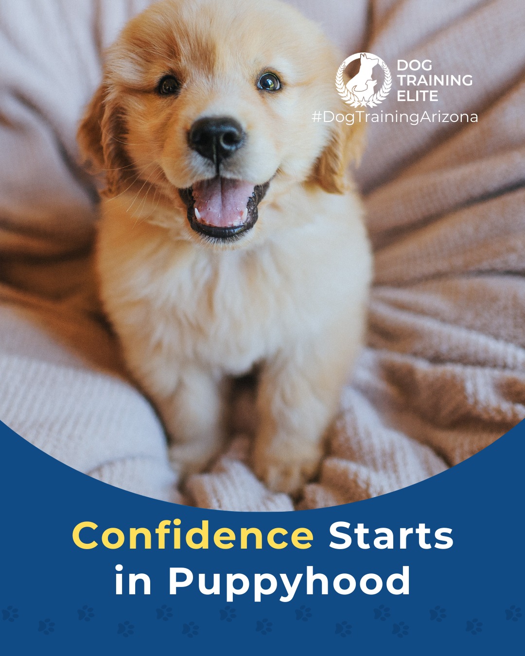 Did you know that early puppy socialization shapes how your dog sees the world for the rest of their life? Puppies who experience new sights, sounds, surfaces, and friendly interactions early on are far more likely to grow into confident, calm, well-adjusted adults.

Thoughtful socialization can help prevent issues like fear, reactivity, and anxiety later in life. That&rsquo;s why puppy training at Dog Training Elite Arizona focuses on safe exposure, guided structure, and teaching your pup how to navigate new environments with ease.

🐶 From basic obedience to advanced service dog training, Dog Training Elite Arizona helps dogs near Phoenix build better behavior and stronger bonds this season. 🐾
 📍 Phoenix - https://maps.app.goo.gl/YM3gnzaFHsvd5sfN8 
Gilbert - https://maps.app.goo.gl/SBSyPCWqNkwPJkop6
West Valley - https://maps.app.goo.gl/vCnmWwR7NquE3dZMA



