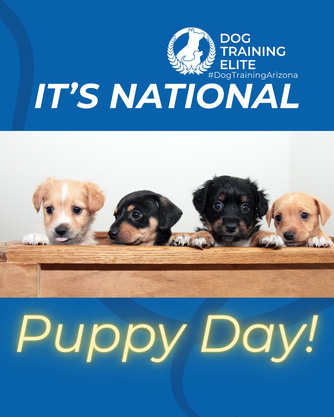 Happy National Puppy Day to those who celebrate! 

Today is all about the tiny paws learning big lessons. National Puppy Day is the perfect reminder that early training sets the foundation for a confident, well-mannered adult dog.

Puppy training focuses on more than just cues. It helps with healthy socialization, clear boundaries, potty routines, and building confidence in new environments. The earlier your pup learns structure, the easier life becomes for both of you.

Give your puppy the guidance they need to grow into a calm, reliable companion.

🐶 Whether it&rsquo;s leash manners, obedience, or service training, Dog Training Elite Arizona offers personalized programs near Loma Linda Park and Glendale, Gilbert, Scottsdale, Mesa , helping dogs shine all winter long. Cozy season, confident pups. ✨
📍 Phoenix - https://maps.app.goo.gl/YM3gnzaFHsvd5sfN8 
Gilbert - https://maps.app.goo.gl/SBSyPCWqNkwPJkop6 
West Valley - https://maps.app.goo.gl/vCnmWwR7NquE3dZMA



