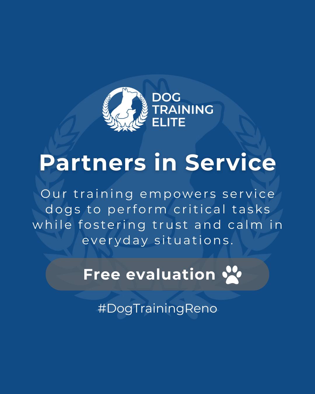 Dog Training Elite Reno understands the unique bond between veterans and their service dogs. 🐾 

Our training empowers these dogs to perform critical tasks while building trust, focus, and calm in everyday life. Every session strengthens confidence and reliability for both dog and handler.

📌 Whether it’s leash manners, obedience, or service training, Dog Training Elite Reno offers personalized programs near Sparks Marina and Lake Tahoe, helping dogs shine all winter long. Cozy season, confident pups. ✨
 📍 https://maps.app.goo.gl/ZRzGfemQvtXWwd8r7


