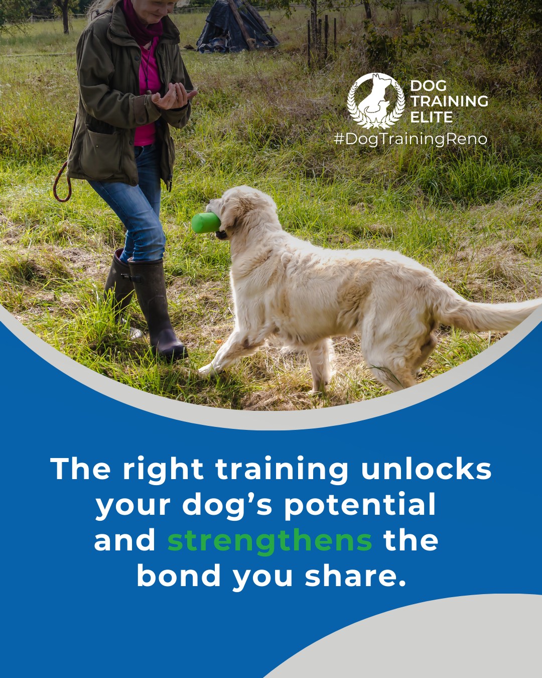 Choosing the right training program doesn&rsquo;t have to be confusing. Obedience, service, therapy, each has its purpose, and we help you find the perfect fit for your dog&rsquo;s needs and your goals. 

At Dog Training Elite Reno, clarity and guidance make all the difference. Ask us anything! 💬

🐾 Make better behavior your first win of the year. Book your free in-home evaluation and see why Reno and Sparks dog owners choose Dog Training Elite for real, lasting results.
 📍 https://maps.app.goo.gl/ZRzGfemQvtXWwd8r7



