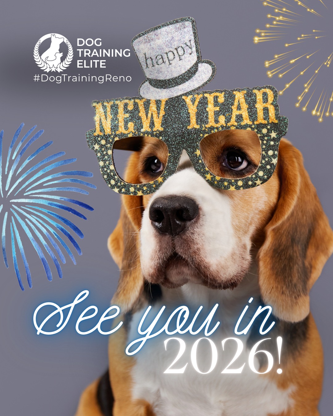 From Dog Training Elite Reno, we want to wish you a Happy New Year! 🐾 We are so thankful for everyone who trusted us with their pups this last year!

If your New Year&rsquo;s resolution is to have better communication with your dog, you&rsquo;re in the right place! Consistency, patience, and clear cues are the keys to transforming your dog&rsquo;s behavior this year. Set realistic goals: 5&ndash;10 minute daily training sessions can make a huge difference. 

 🎉From basic obedience to advanced service dog training, Dog Training Elite Reno helps dogs near Sparks build better behavior and stronger bonds this season. 🐾
 📍https://maps.app.goo.gl/ZRzGfemQvtXWwd8r7


