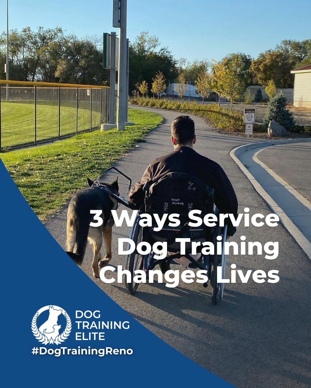 Service dogs are trained to do more than follow cues. They provide reliable support in moments that matter most. Proper service dog training focuses on calm behavior, advanced task work, and strong handler communication in real-world environments.

Service dog training may support individuals who:
 🐾 Live with PTSD, anxiety, or depression, including veterans and civilians
 🐾 Are on the autism spectrum and benefit from structured, task-oriented support
 🐾 Have epilepsy and require alert or response-based behaviors
Participating locations also offer advanced medical training for qualifying teams. 

Every service dog program is customized to the needs of the handler and the responsibilities required of the dog.
Service dog training is about trust, consistency, and life-changing partnership.

 🦮From basic obedience to advanced service dog training, Dog Training Elite Reno helps dogs near Sparks build better behavior and stronger bonds this season. 🐾
📍 https://maps.app.goo.gl/ZRzGfemQvtXWwd8r7


