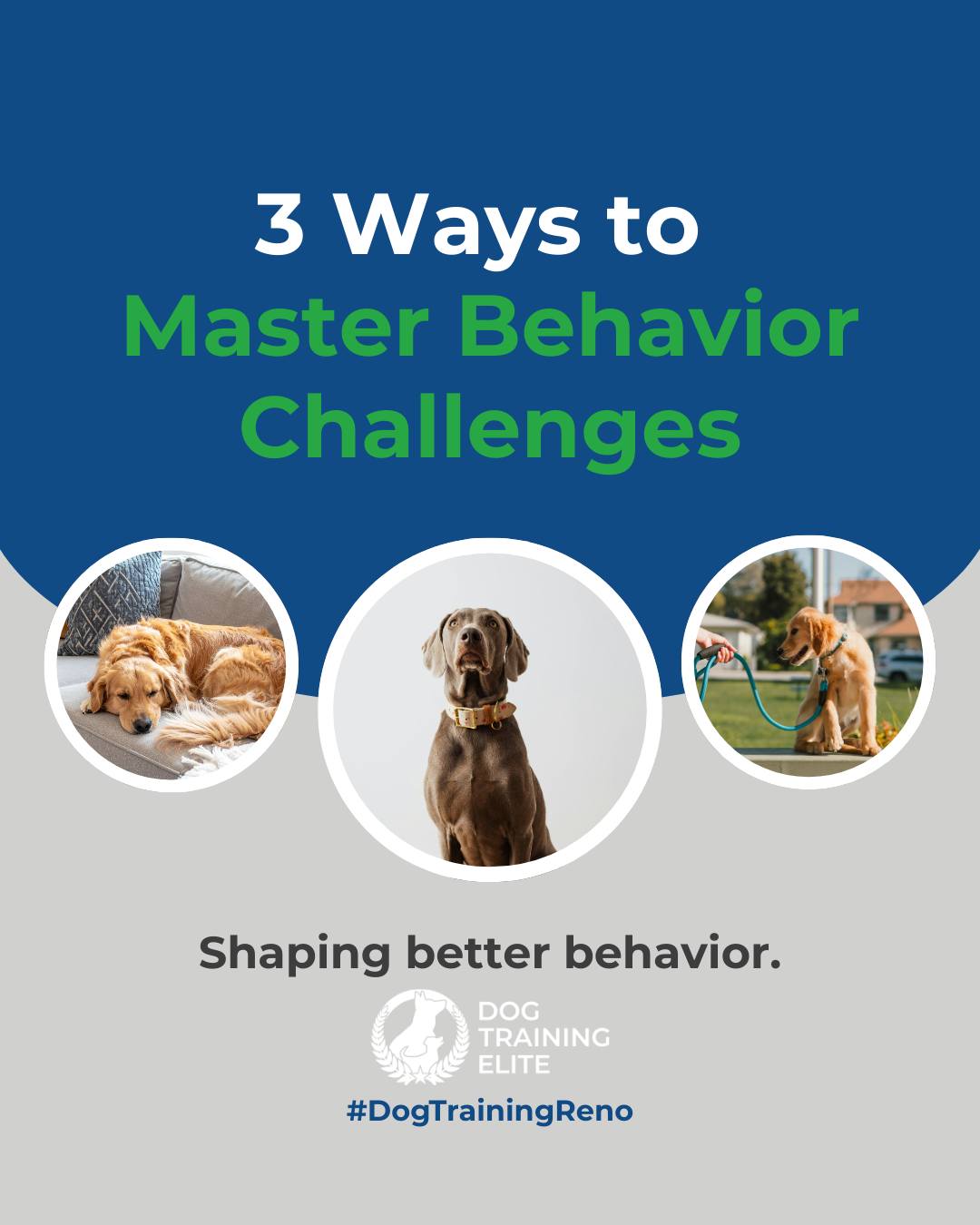Dogs don&rsquo;t outgrow behavior problems on their own. They thrive when given structure, guidance, and consistent training. If your dog struggles with focus, impulse control, or reactivity, you are not alone. 

Here are 3 ways to support your dog&rsquo;s growth:
1️⃣ Provide consistent daily routines
2️⃣ Practice controlled exposure to triggers
3️⃣ Reward calm and focused behavior

Our team in Reno is here to guide you and your dog every step of the way. 🐾

Make better behavior your first win of the year. Book your free in-home evaluation and see why Reno and Sparks dog owners choose Dog Training Elite for real, lasting results.
 📍 https://maps.app.goo.gl/ZRzGfemQvtXWwd8r7



