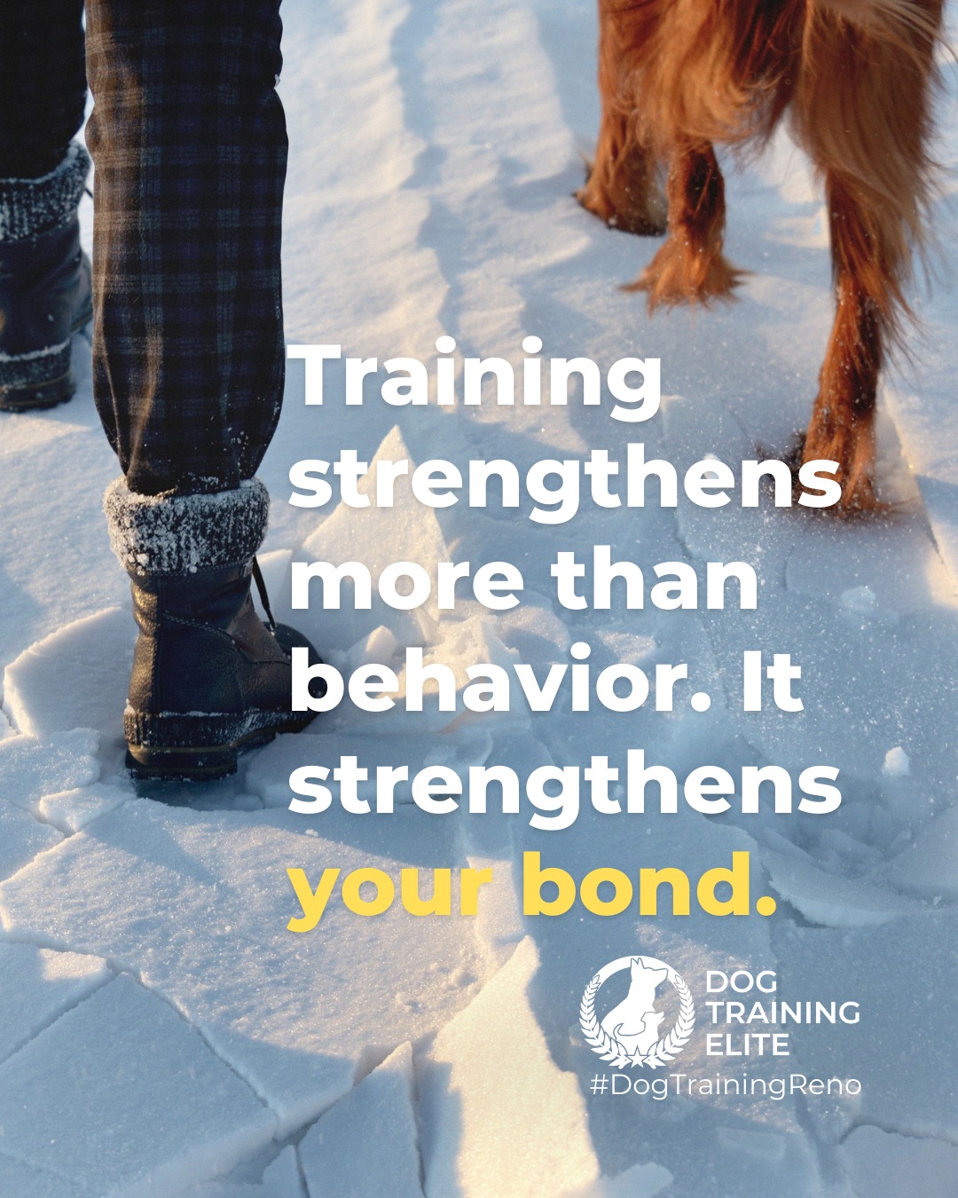 Looking to deepen your connection with your dog? Training isn&rsquo;t just about teaching commands, it&rsquo;s about building trust, improving communication, and creating a confident, well-behaved companion at home and in public. 

Every session strengthens your bond, helps your dog understand expectations, and brings peace of mind knowing they can handle real-world situations with reliability and calm.

Dog Training Elite Reno Sparks Carson City can help you achieve results that last and transform your dog into a trusted partner.

Make better behavior your first win of the year. Book your free in-home evaluation and see why Reno and Sparks dog owners choose Dog Training Elite for real, lasting results.
 📍 https://maps.app.goo.gl/ZRzGfemQvtXWwd8r7


