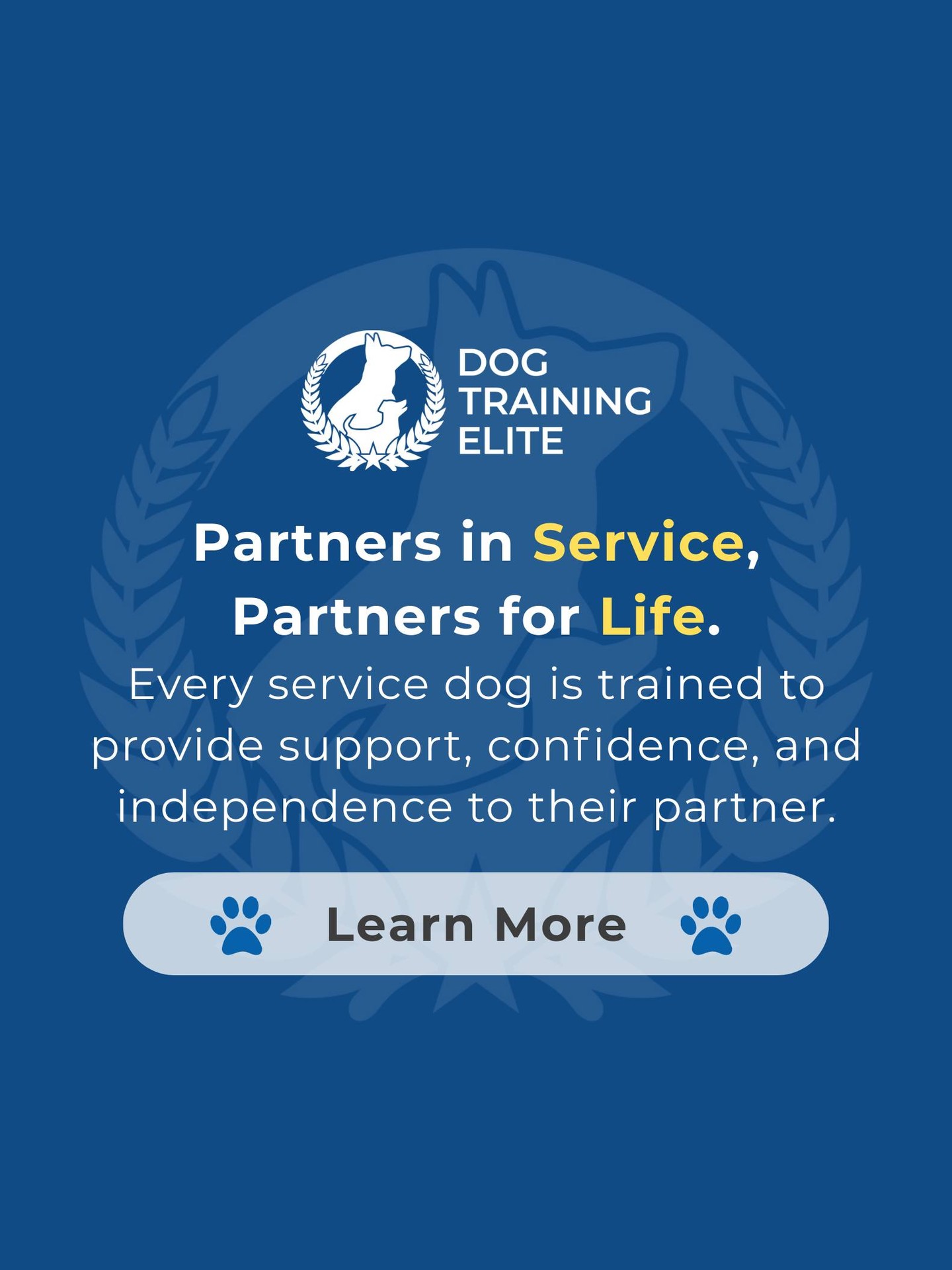 Looking for a loyal partner who truly makes a difference? 

We honor our veterans by training service dogs that provide real support every day. These specially trained companions help with mobility, anxiety, PTSD, and more, empowering heroes to live with confidence and independence.

🐾 Make better behavior your first win of the year. Book your free in-home evaluation and see why Reno and Sparks dog owners choose Dog Training Elite for real, lasting results.
📍 https://maps.app.goo.gl/ZRzGfemQvtXWwd8r7



