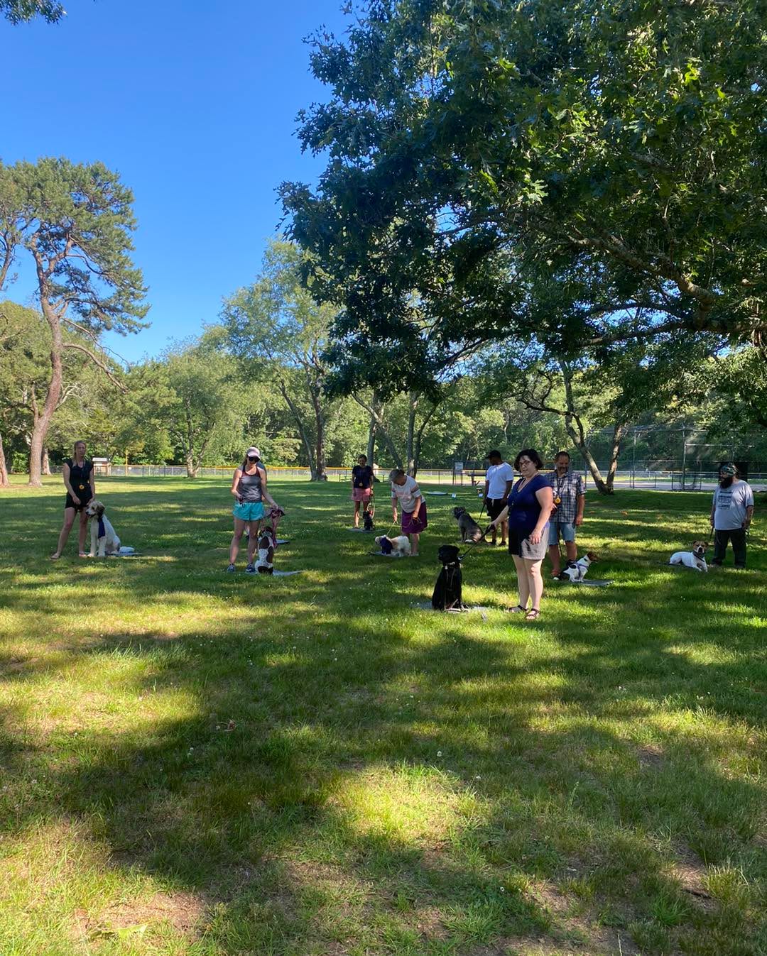 So proud of this whole pack. Not one dog moved from place during 2 Tic Tac Toe games and we had 2 dogs first time group class, 3 dogs under a year old and 2 reactive dogs.