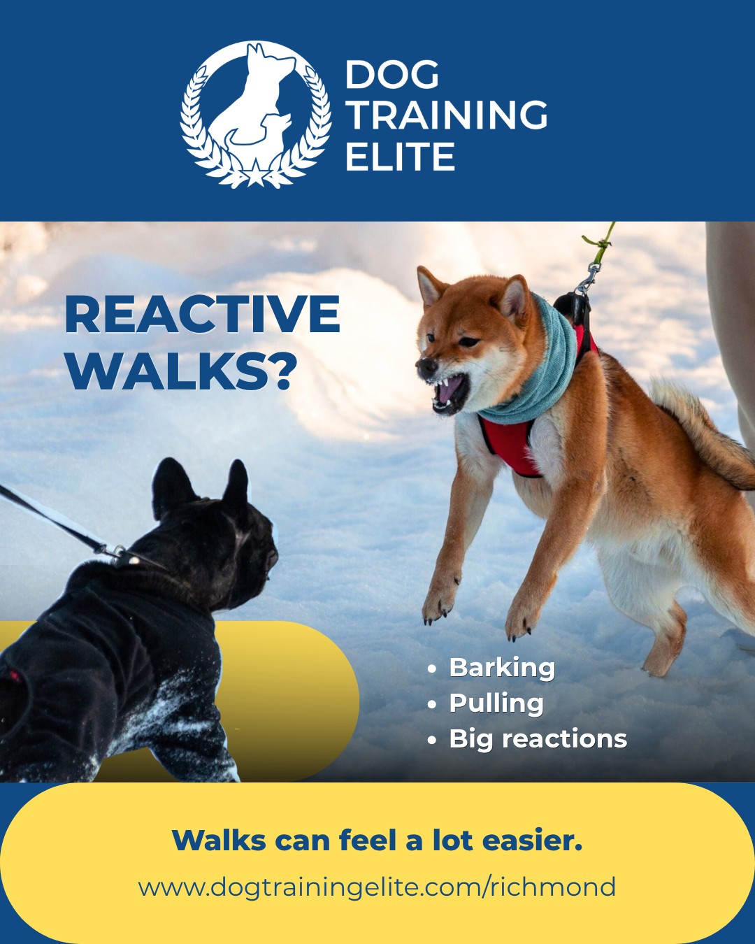 Does your dog turn every walk into a whole event? 😅 A dog that reacts to other dogs, people, cars, or just about anything that catches their attention can make going for a walk feel stressful.

The good news? You can work on it.

With the right structure and consistency, walks can become calmer and more enjoyable for both of you.

🐾 Ready to make walks a little easier?

Visit dogtrainingelite.com/richmond to learn more.

