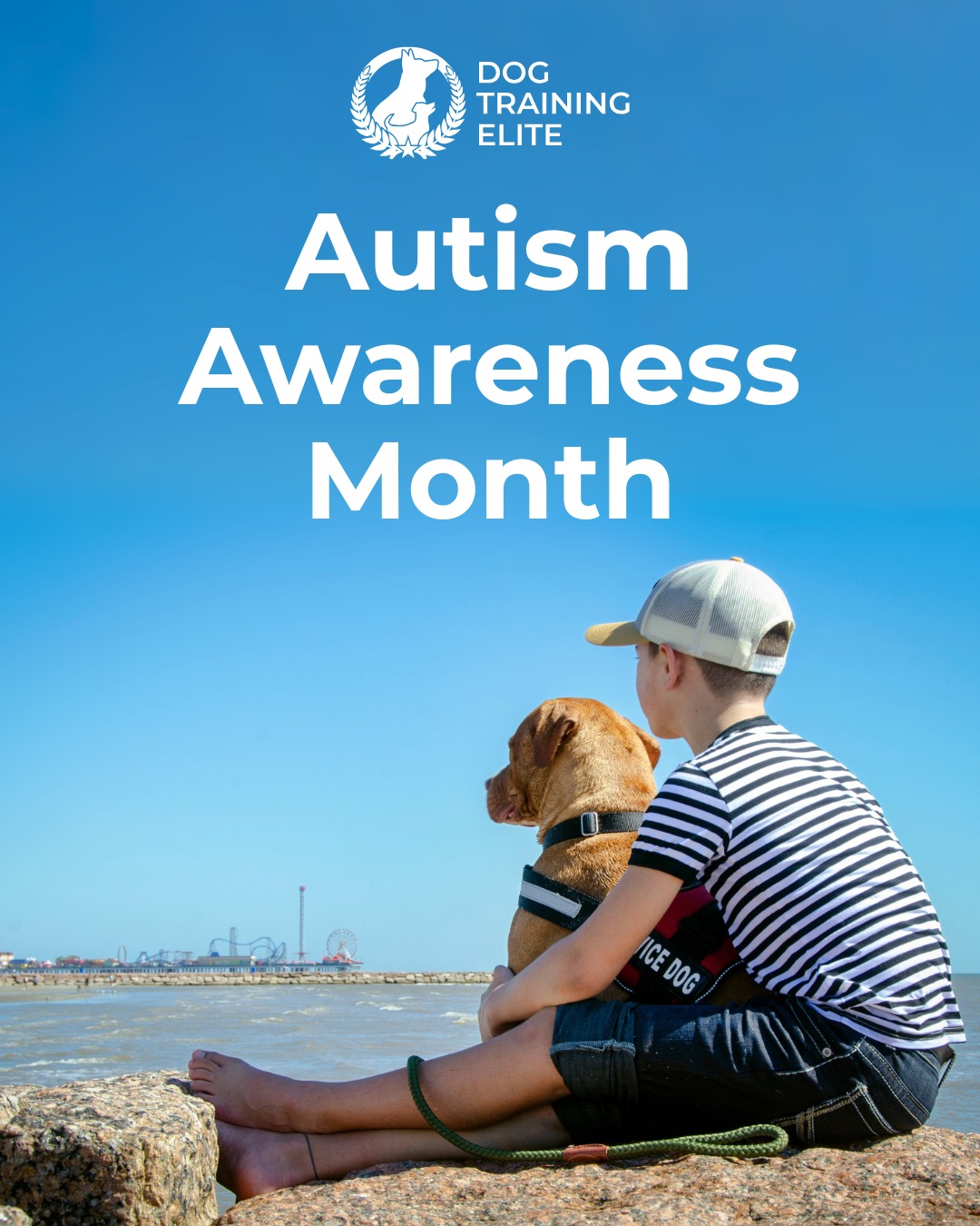 April is Autism Awareness Month 💙

For individuals with autism, service dogs can provide added structure, safety, and confidence in everyday life. Dog Training Elite of South Houston customized service dog training programs are designed to build dependable skills that families can rely on.

Call 832-381-2111 today to learn more!

