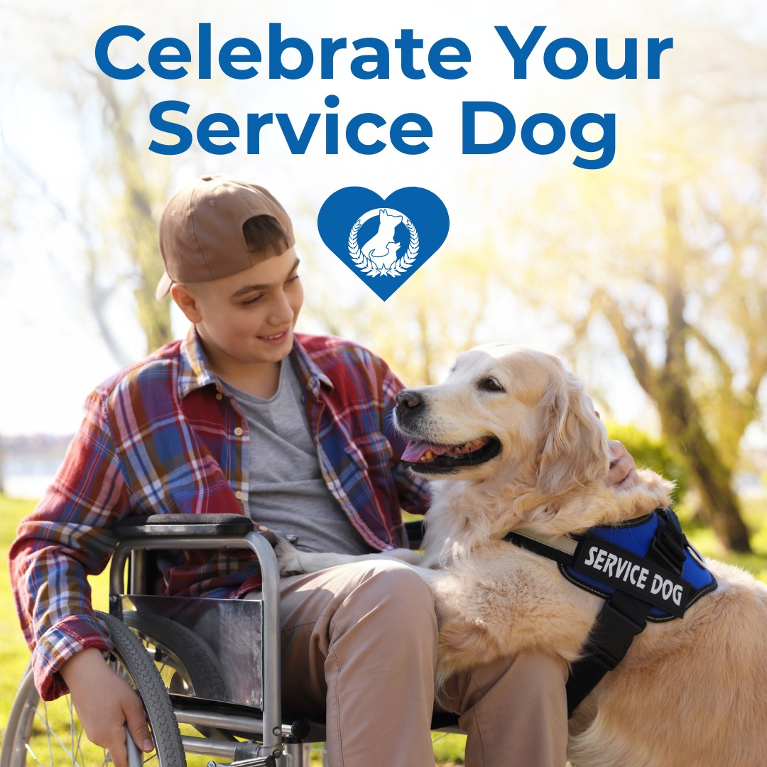 September is National Service Dog Month 🐾

We're proud to celebrate the important role service dogs play in helping their handlers feel safe, confident, and supported.

Dog Training Elite of South Houston has decades of experience training service dogs to perform all sorts of essential tasks. Our programs help individuals live more independently with their well-trained companions.

If you or a loved one could benefit from a service dog, visit https://dogtrainingelite.com/houston?location=south-houston to schedule your free consultation!

