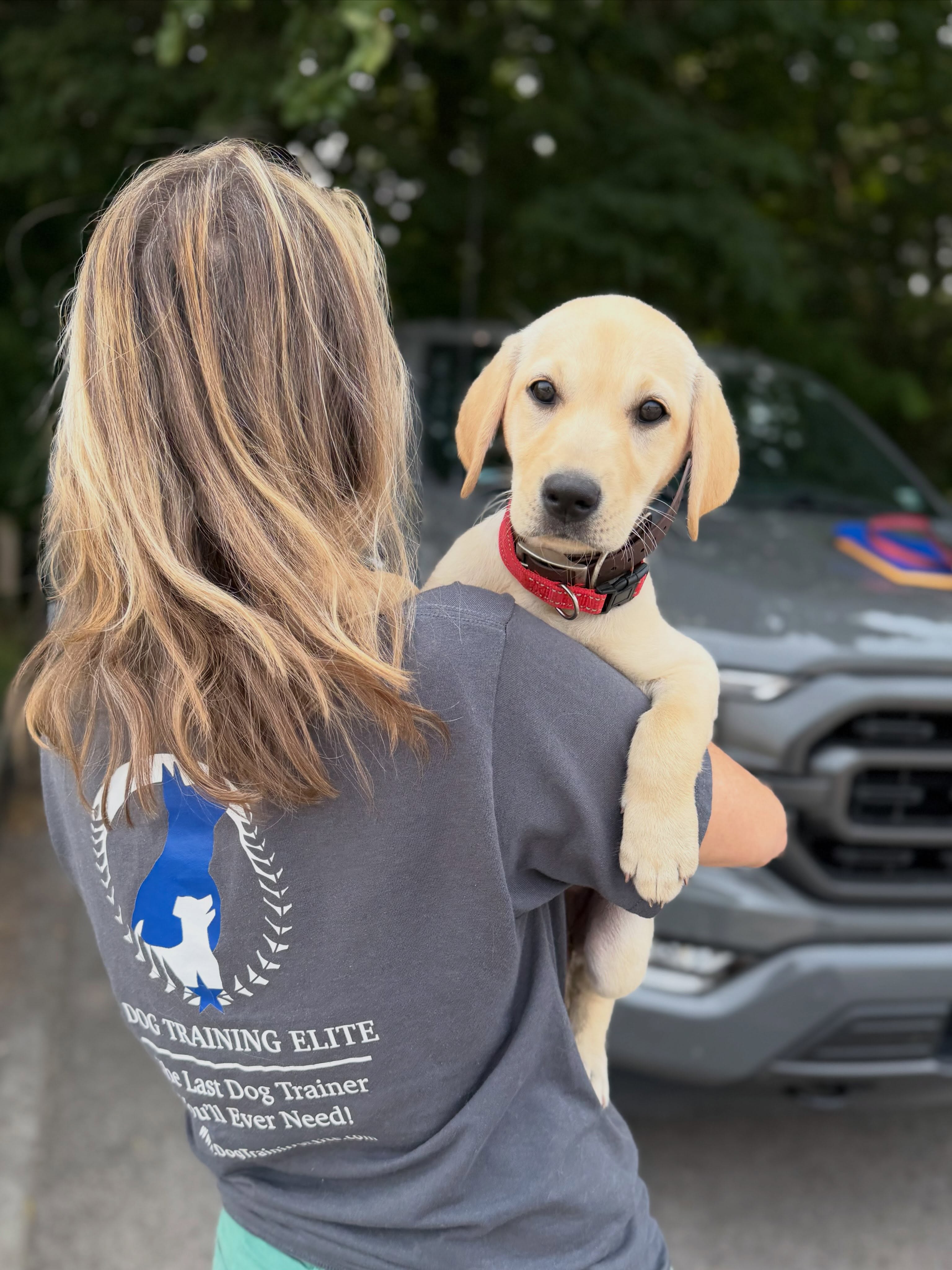Meet Maple! 👋 She is excited to start school in the fall at Novi Community Schools. 🐶