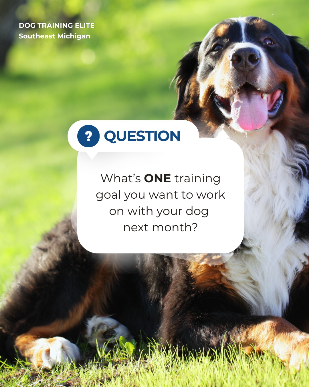 Before September wraps up, check in on your dog&rsquo;s progress. 🐾

What&rsquo;s the next goal you want to work toward: better recall, calmer walks, more focus, or something else?

At Dog Training Elite Southeast Michigan, we help dogs and their owners in Brighton turn training goals into real-world results.

Tell us your goal in the comments!

