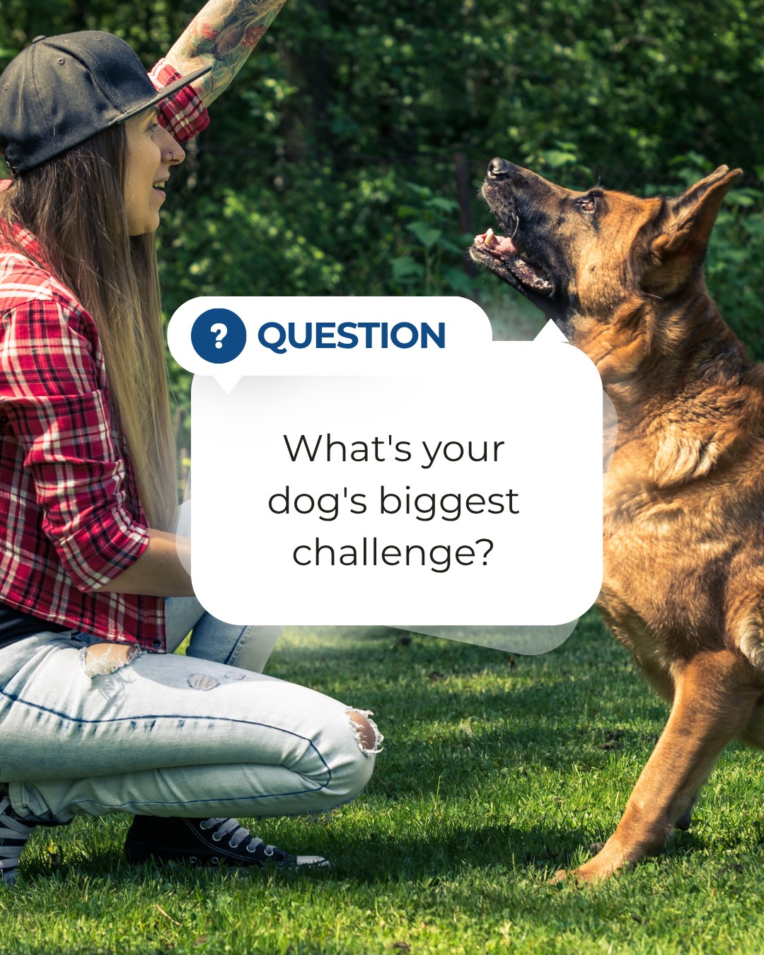 🐾 Dog owners, let's help each other out!

What's the biggest challenge you're facing with your dog right now?

Leash pulling? Barking? Recall? Jumping on guests? Separation anxiety? Something else?
Drop it in the comments below. Chances are, another dog owner is dealing with the same thing and your answer might help them feel a little less alone.

Comment below!👇 

