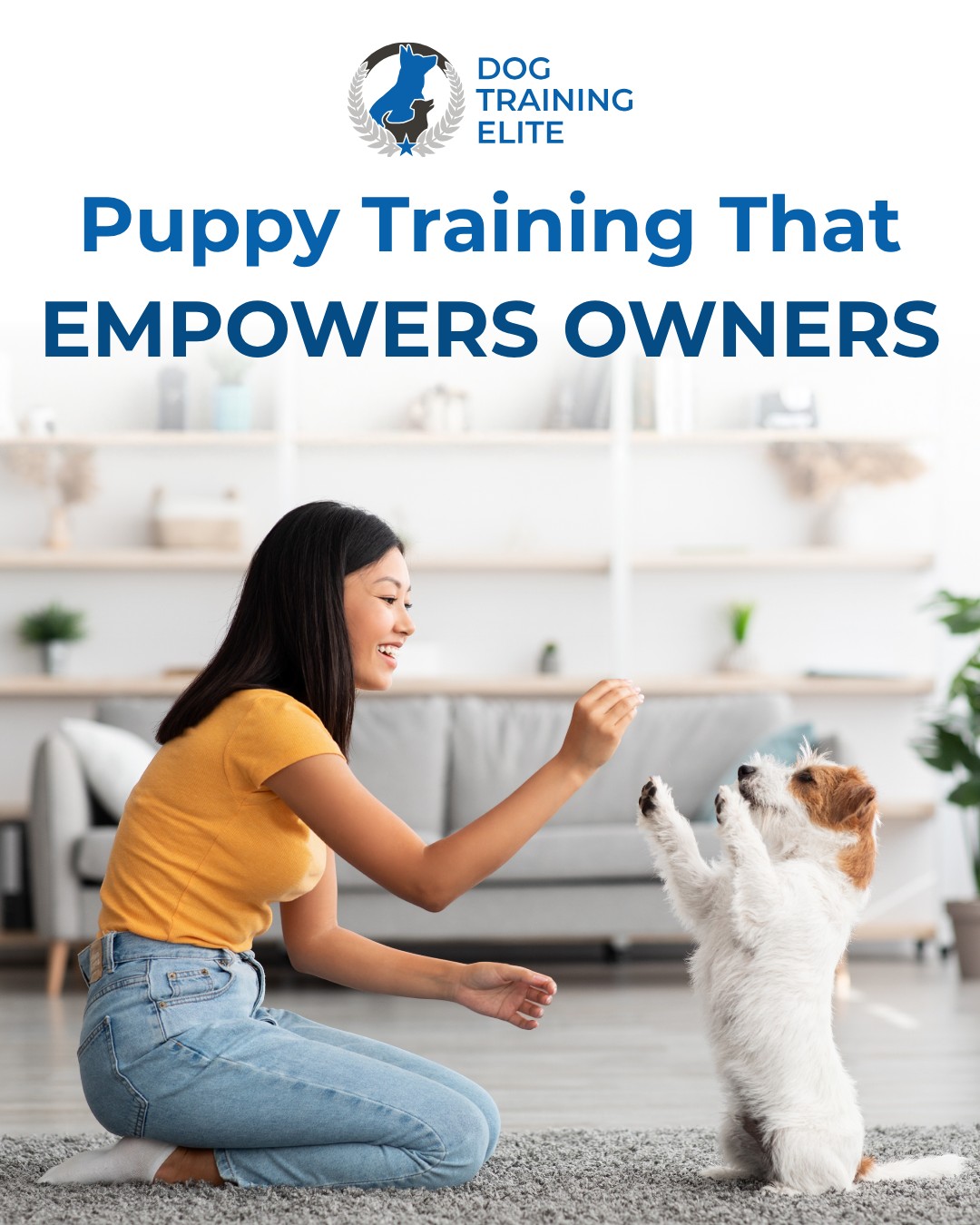 🎓 Great puppy training includes the owner in every lesson.

When owners know how to reinforce good behaviors at home, puppies learn faster and develop better habits.

At Dog Training Elite Southeast Michigan, our personalized, in-home puppy training gives both you and your puppy the skills to succeed. We'll guide you through the training process so you can continue building on each lesson long after your sessions are complete.

Contact us today at 810-510-3647 to schedule your free consultation today!

