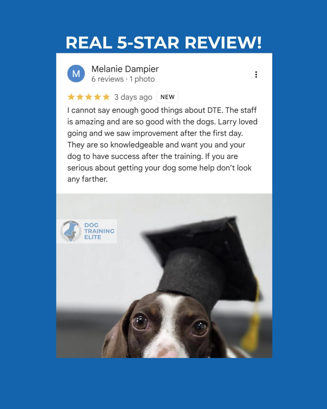 Melanie wrote this about Larry&rsquo;s training:

&ldquo;I cannot say enough good things about DTE. The staff is amazing and are so good with the dogs. Larry loved going and we saw improvement after the first day. They are so knowledgeable and want you and your dog to have success after the training. If you are serious about getting your dog some help don&rsquo;t look any farther.&rdquo;

Larry came in with some big feelings about other dogs and the world. His family was serious about getting him help and willing to work. We gave them the plan and the tools. Together they did the reps. Now his world and theirs are bigger and calmer.

If you are serious about getting your dog some help and you&rsquo;re willing to do the work but don&rsquo;t know what to do, that&rsquo;s exactly what we&rsquo;re here for.

Call or text 417‑427‑3797, or book a quick 10 minute fit call here:
https://tinyurl.com/yfxd2xyj


