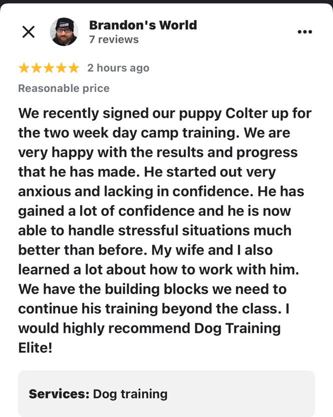 If your dog shrinks from the outside world, hates walks, and startles at every sound, read this.

A Springfield family brought us their puppy, Colter. He was anxious, low in confidence, and struggled any time life got “too much.” They weren’t looking for a perfect robot… just a dog who could feel safe and listen.

They enrolled him in our two‑week day camp. We focused on calm structure and teaching Colter clear yeses and clear nos, so he could finally relax and his owners knew exactly how to lead him.

In their 5‑star Google review they shared they were “very happy with the results and progress that he has made” and that he is “now able to handle stressful situations much better than before.”

Here’s the wild part: the night he graduated, Colter was attacked by another dog on a walk. The very next day, his owners still felt equipped to bring him to group class… and he did great. That’s what real confidence and clear communication look like.

This is a real 5‑star Google review from a local Springfield client.

DM me the word REVIEW for details on how our in‑person training works and how to get similar results.

