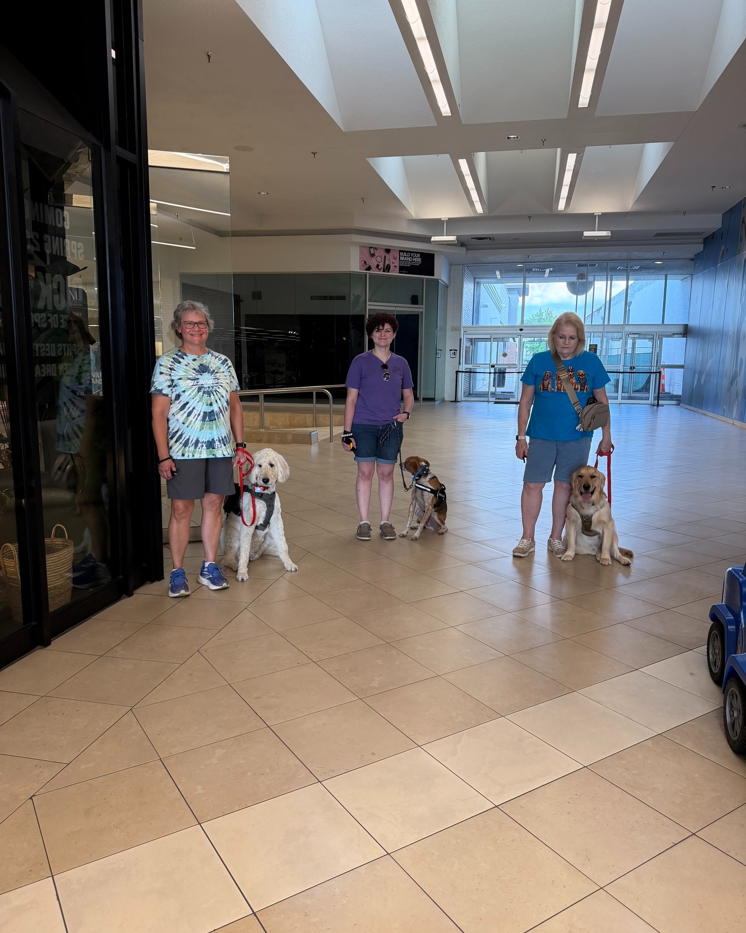 Three teams came out to public access this week: a doodle, a golden, and a beagle mix.

Different breeds, different jobs, same goal: stay with your person and keep your brain, even when the mall is loud and distracting. We work on things like heeling past people, ignoring food courts, doing &ldquo;unders&rdquo; at benches and in waiting areas, and just existing politely in public.

We&rsquo;re not aiming for &ldquo;never feel stressed.&rdquo; We&rsquo;re aiming for dogs and handlers that can feel stress, look to each other, and still function.

If that&rsquo;s the kind of partnership you want and you&rsquo;re willing to learn, we&rsquo;d love to help.

Call or text 417‑427‑3797, or book a quick 10 minute fit call:
https://tinyurl.com/yfxd2xyj


