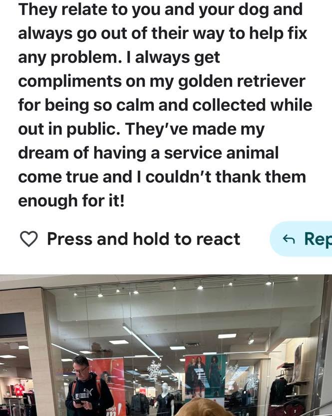 You know that feeling when you’re nervous to take your dog in public… pulling on the leash, weaving in front of people, you’re just waiting for something embarrassing to happen?

That was this owner, before training.

In these photos, you see her golden retriever calmly sitting in the mall on our last public access appointment… then tucked quietly under her chair, out of the way like a true helper. No chaos. No scene. Just calm.

Here’s what she wrote in her Google review about us after going through our in-person training here in Springfield:

“Absolutely love the people here! They relate to you and your dog and always go out of their way to help fix any problem.”

She told us she now “always gets compliments” on how calm and collected he is in public… and that we “made my dream of having a service animal come true.”

That’s the point of what we do: helping owners give clear yeses and clear nos so their dog can be a calm, reliable partner in real life. Not a perfect robot. A stable, loyal helper out in the world. Not some “click and ship” dog from Amazon.

This is a real client, real dog, real results.

DM me the word UPDATE to learn how our in-person training works and how to get similar results.

