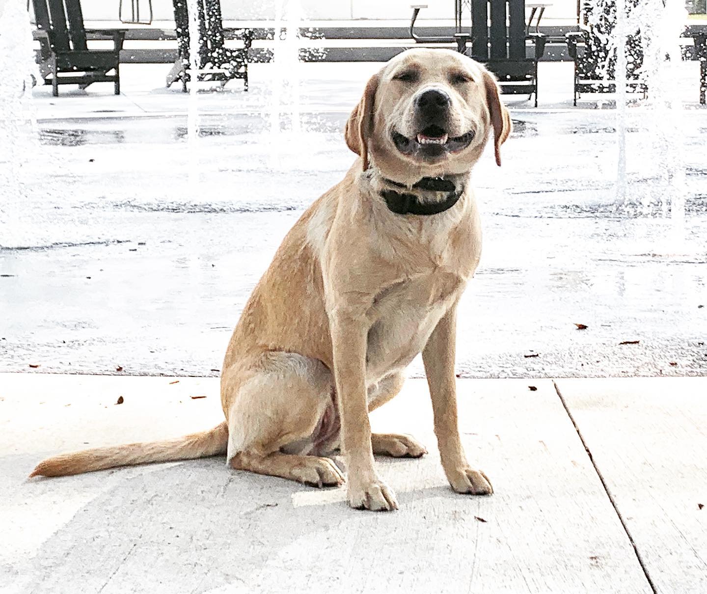 All smiles at the splash pad on a hot Tampa June day! 