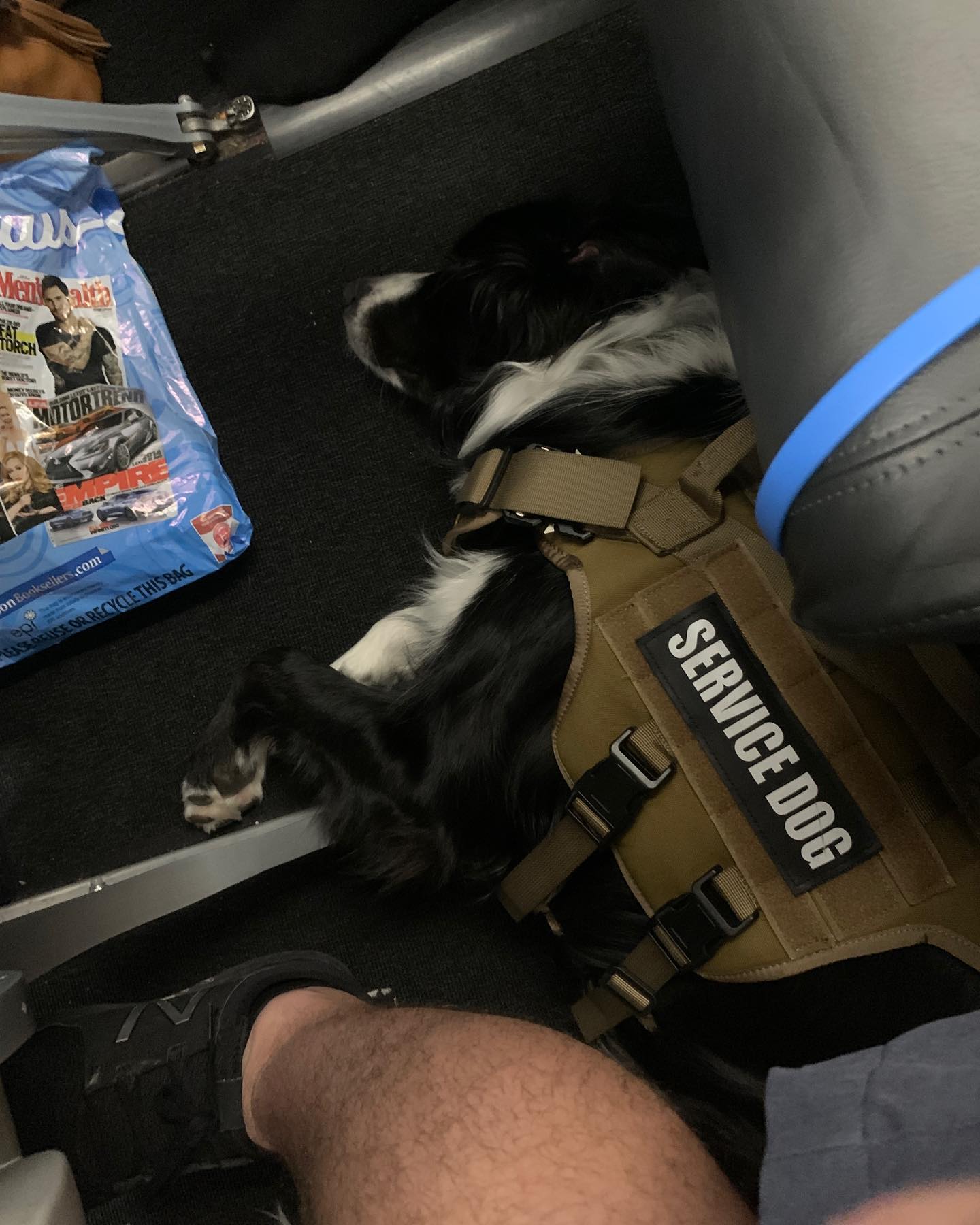 Kaden did great on his first plane ride to Florida! Having a travel companion on a flight makes it much less stressful. #