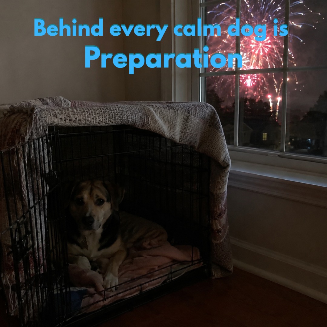 Fireworks may be fun for us, but for many dogs they're loud, confusing, and frightening. A little preparation can go a long way in helping your pup feel safe.
Here are a few ways to prepare:
- Create a safe space. Set up a quiet room or kennel with a blanket draped over it (never blocking ventilation) to create a cozy den.
- Play white noise, calming music, or turn on the TV to help muffle the sound of fireworks.
- Offer a stuffed Kong, lick mat, or long-lasting chew to help keep your dog occupied and relaxed.
- Keep doors, windows, and gates securely closed. Frightened dogs are much more likely to try to escape.
- Make sure your dog's ID tags and microchip information are up to date, just in case.
- Mentally and physically exercise your dog before fireworks begin so they can burn off some energy and are more likely to rest afterward. 
- Stay calm and let your dog choose where they feel safest. Some dogs prefer their kennel, while others may want to stay close to you.
With a little planning, you can help make fireworks night much less stressful for your best friend. 
📅  Have questions about our training programs ? Give us a call!
☎️ 1+ (763) 342-9250
📧 twin-cities@dogtrainingelite.com
💻https://dogtrainingelite.com/minneapolis