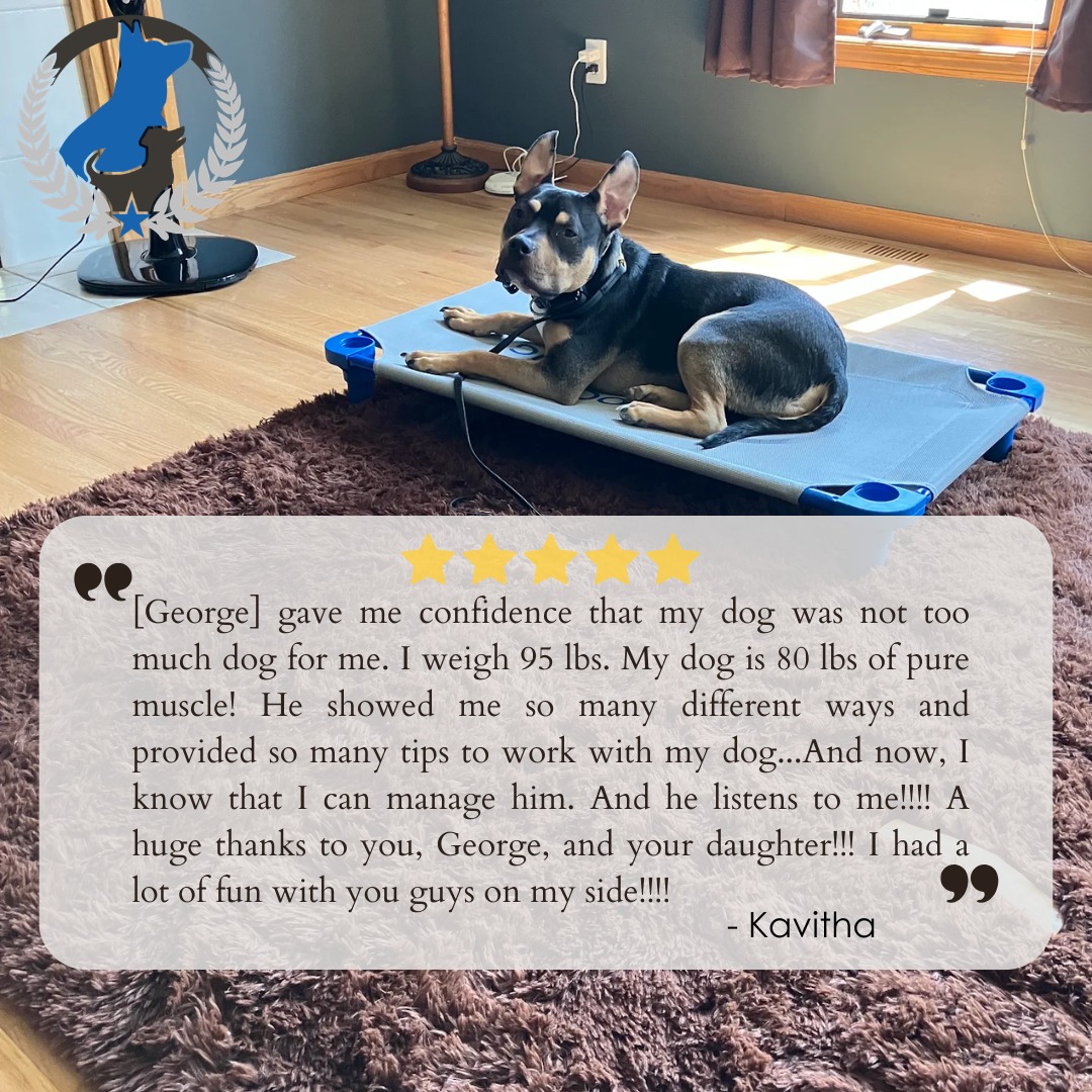 We&rsquo;re proud to deliver an experience worth 5 stars! ⭐⭐⭐⭐⭐ Thank you to our wonderful customer for taking the time to share this review. We truly appreciate your support!

📅  Curious about our training programs? Contact us!
☎️ 1+ (763) 342-9250
📧 twin-cities@dogtrainingelite.com
💻https://dogtrainingelite.com/minneapolis