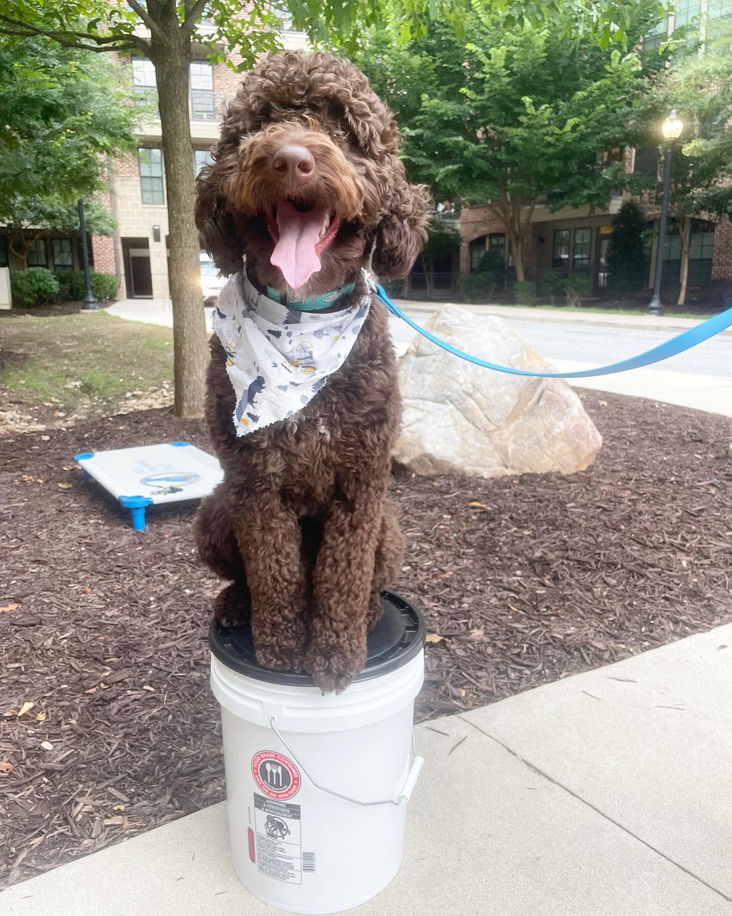 LUKA!!! Showing off outside his apartment at his second appointment 👏🏻👏🏻