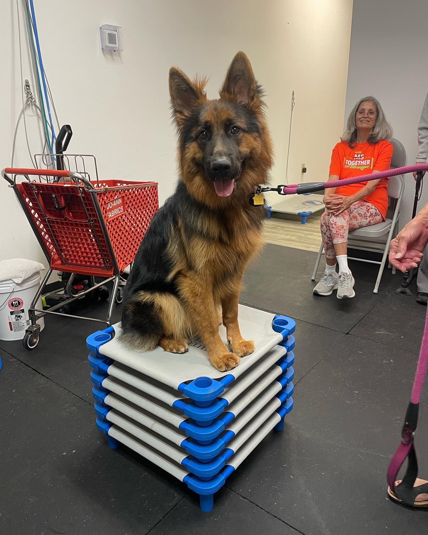 Did you know we offer group class at our facility? And Lake Conestee Nature Preserve? We are always striving to do what is best for our clients and their dogs!