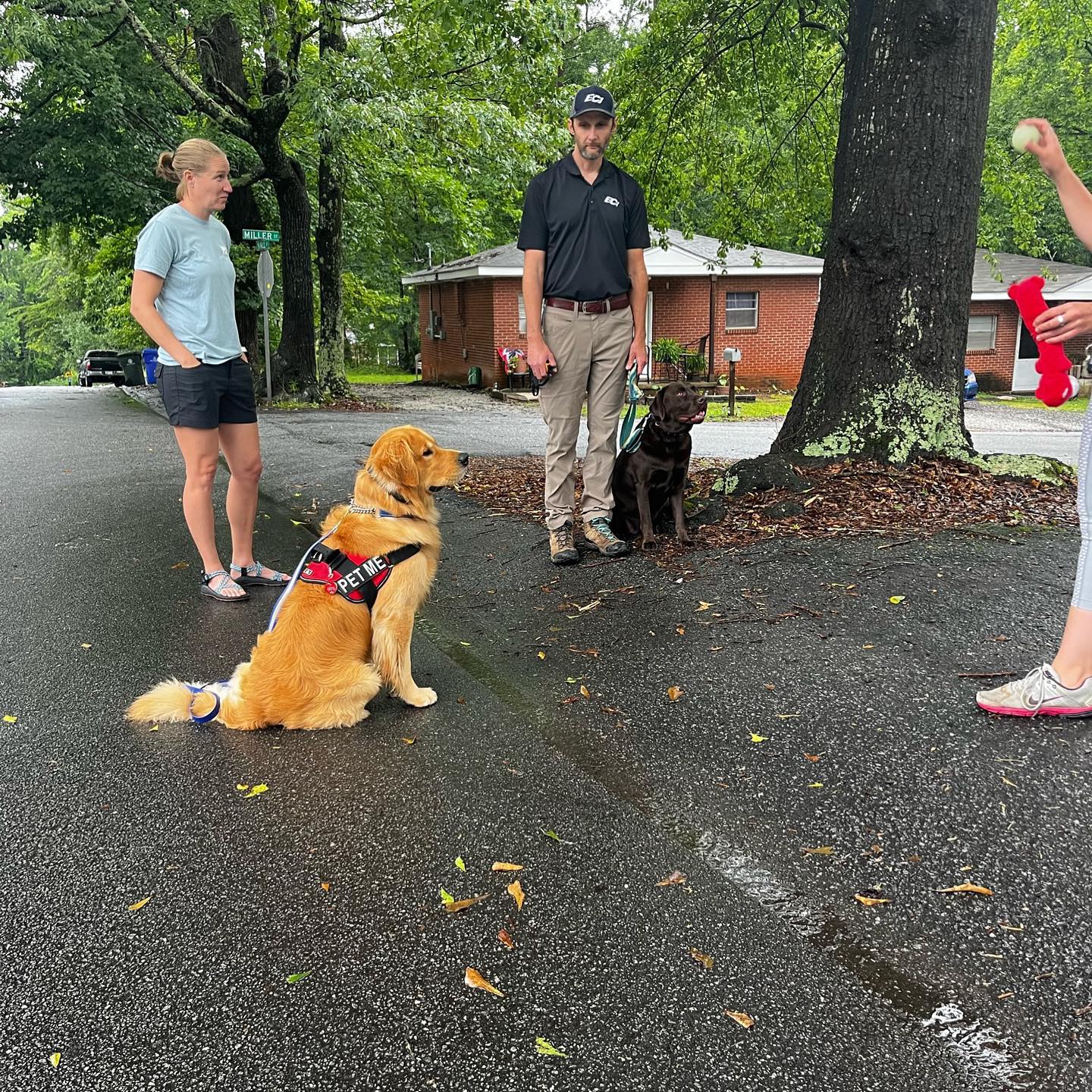 Bentley and Denver go CRAZY for balls, so we obviously whipped some out during our training session!! Look at that sit with an implied stay despite their kryptonite being right in front of them 👏🏻👏🏻