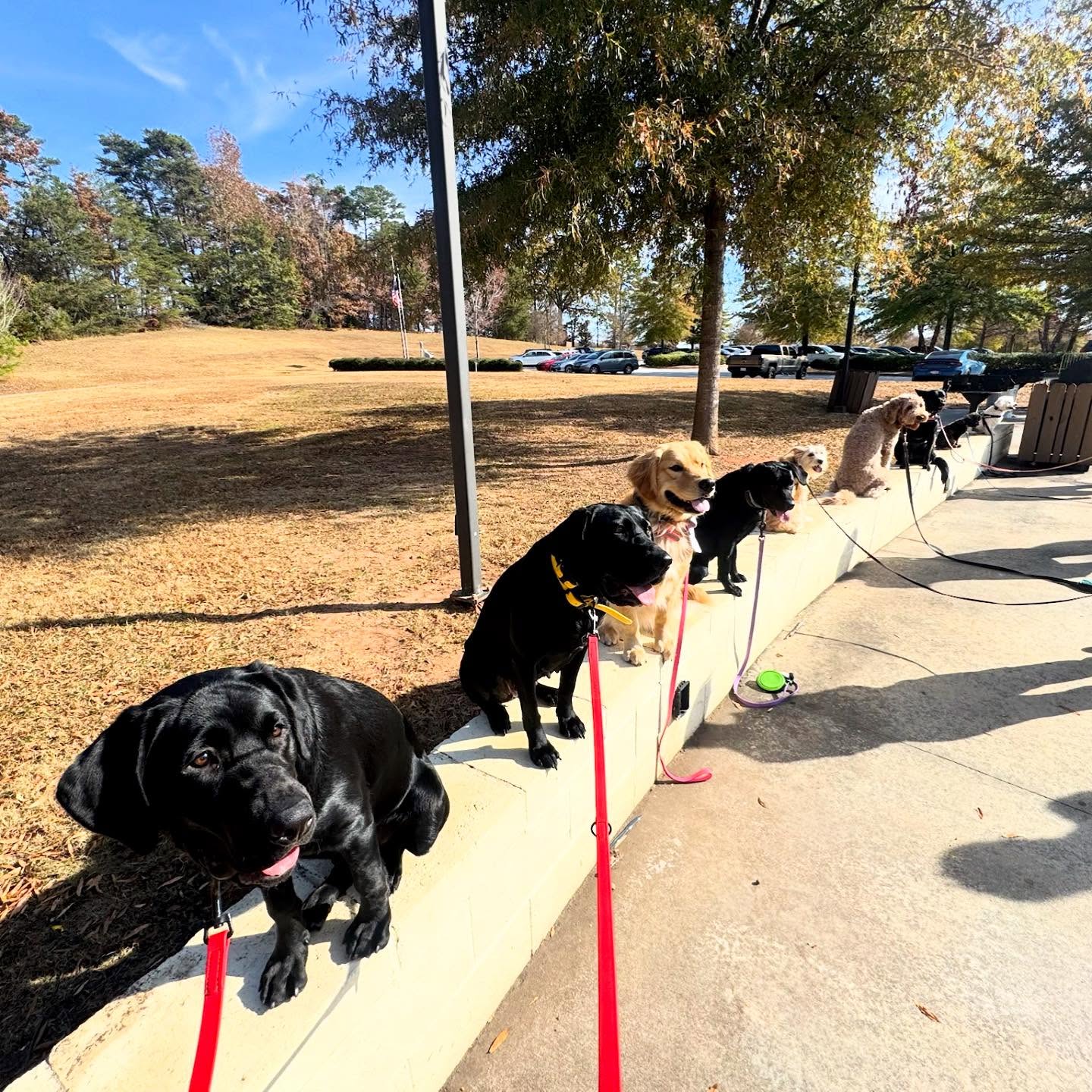 Who’s coming to group classes today? We can’t wait to see you there!