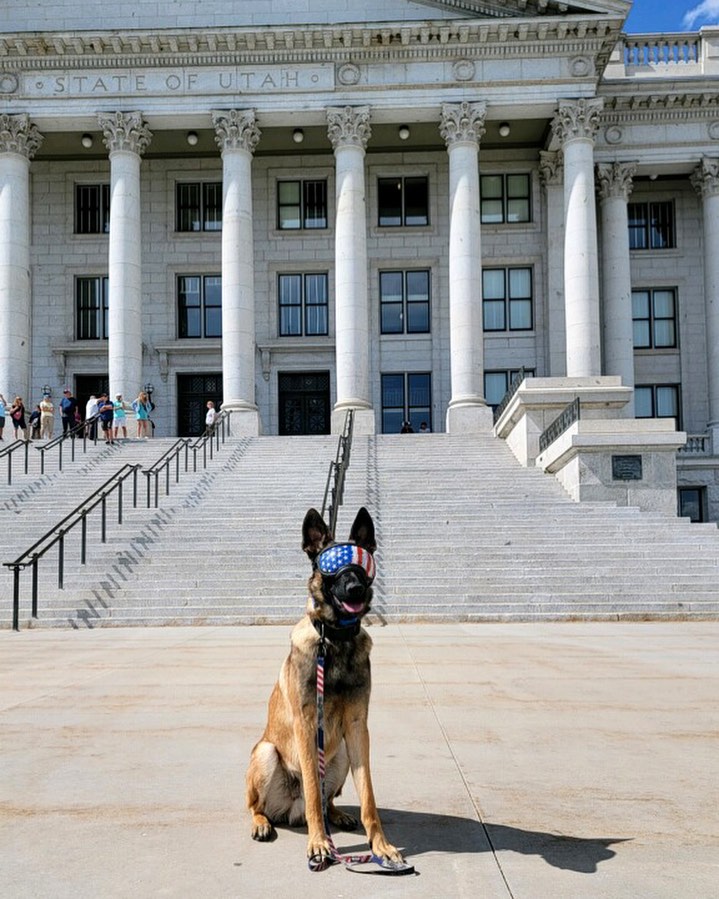 Happy Independence Day 🇺🇸❤️🤍💙
May we remember the brave men and women who fight and have fought for our freedom and the freedom of others.