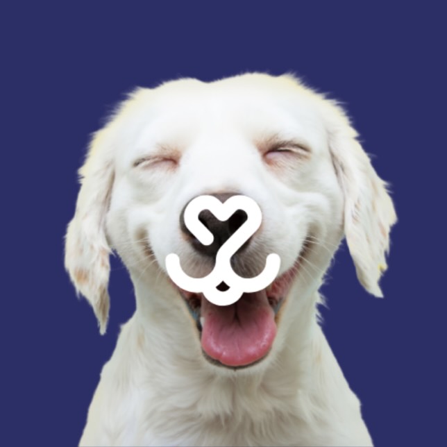 We&rsquo;re proud to accept the All Pet Card!
A simple way to make pet training affordable &mdash; pay over time and keep your budget on track with interest free payment plan options!
Prequalify in minutes with no impact to your credit score at go.allpet.com.

