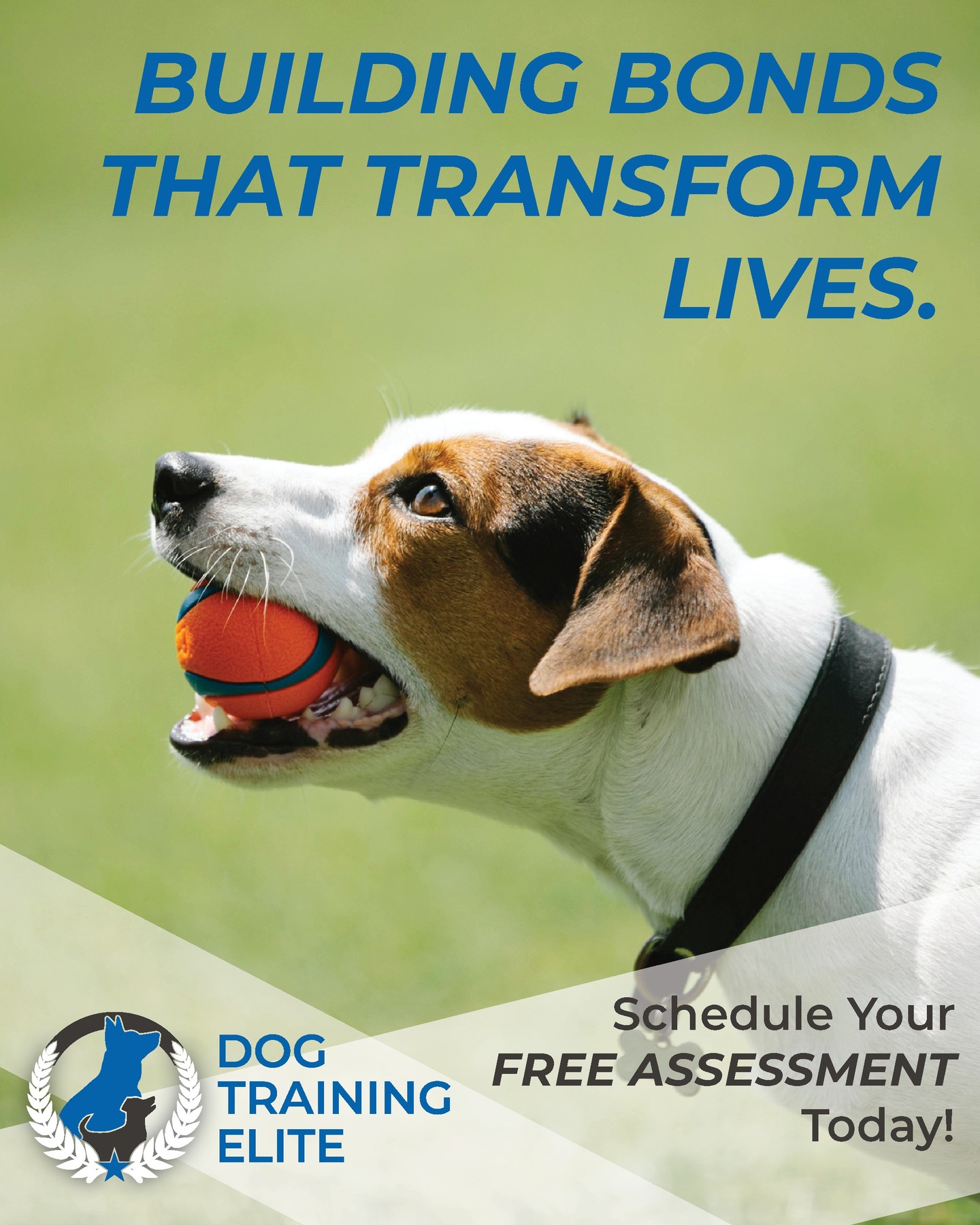 Training doesn't just make your life easier - it enhances theirs! 