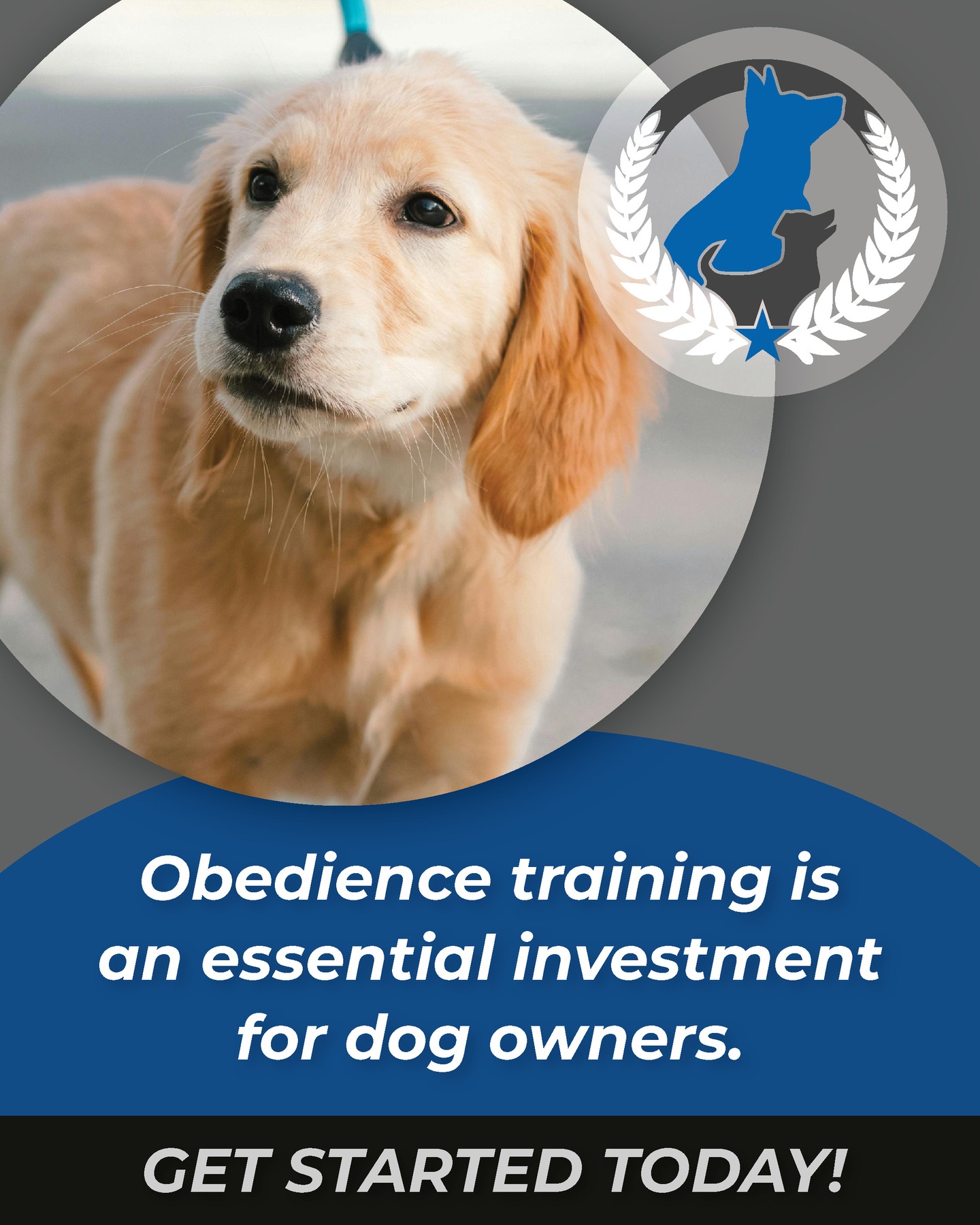 🎄Tis the season for new puppies! Don't forget about he most essential part of getting a pup - it's training! Give us a call today so we can give you information on how we can help reach all your training goals! 📱 (713) 301-5040. 