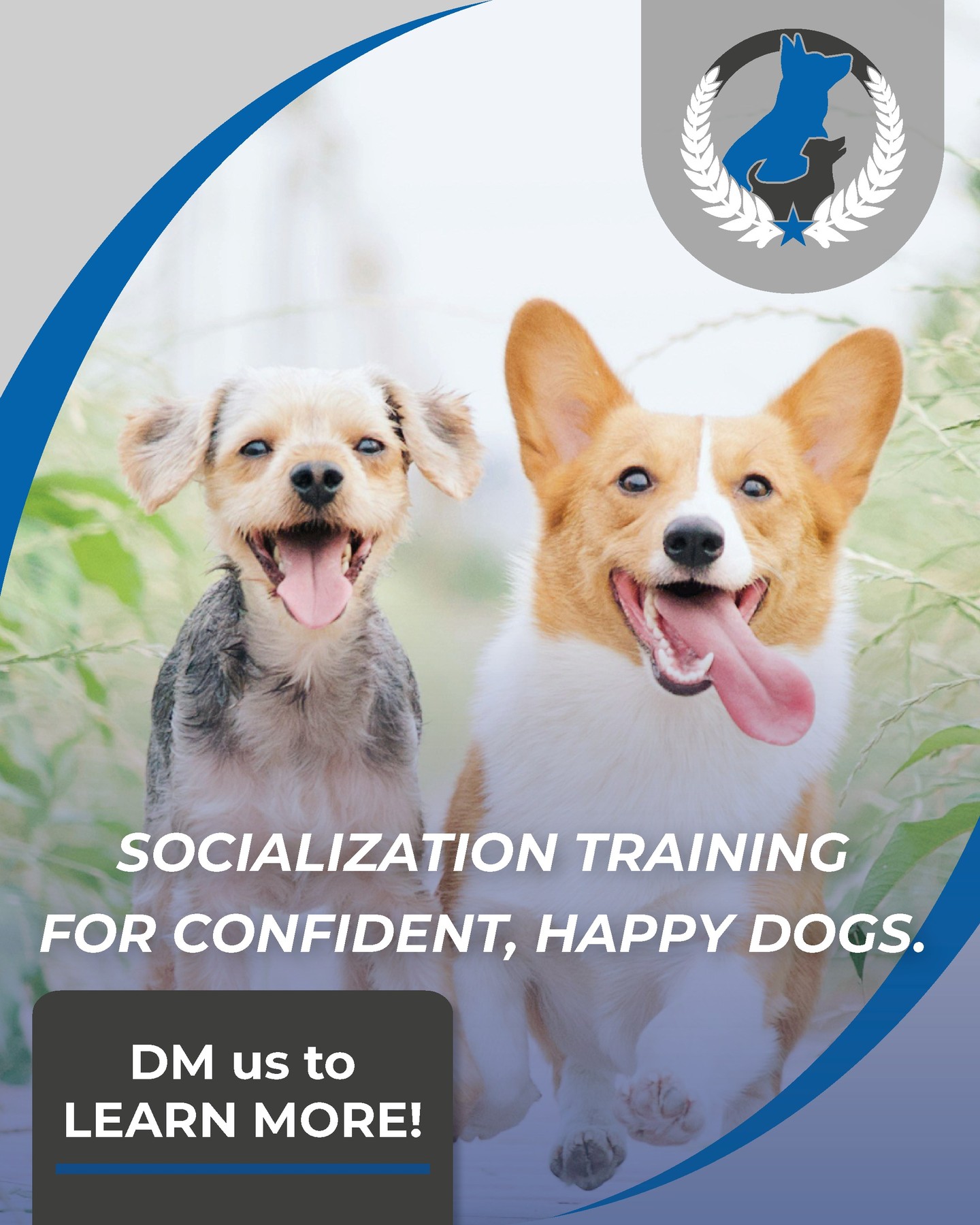 A well trained dog is a happy dog. Reach out today to learn how we can help your pup reach your training goals 