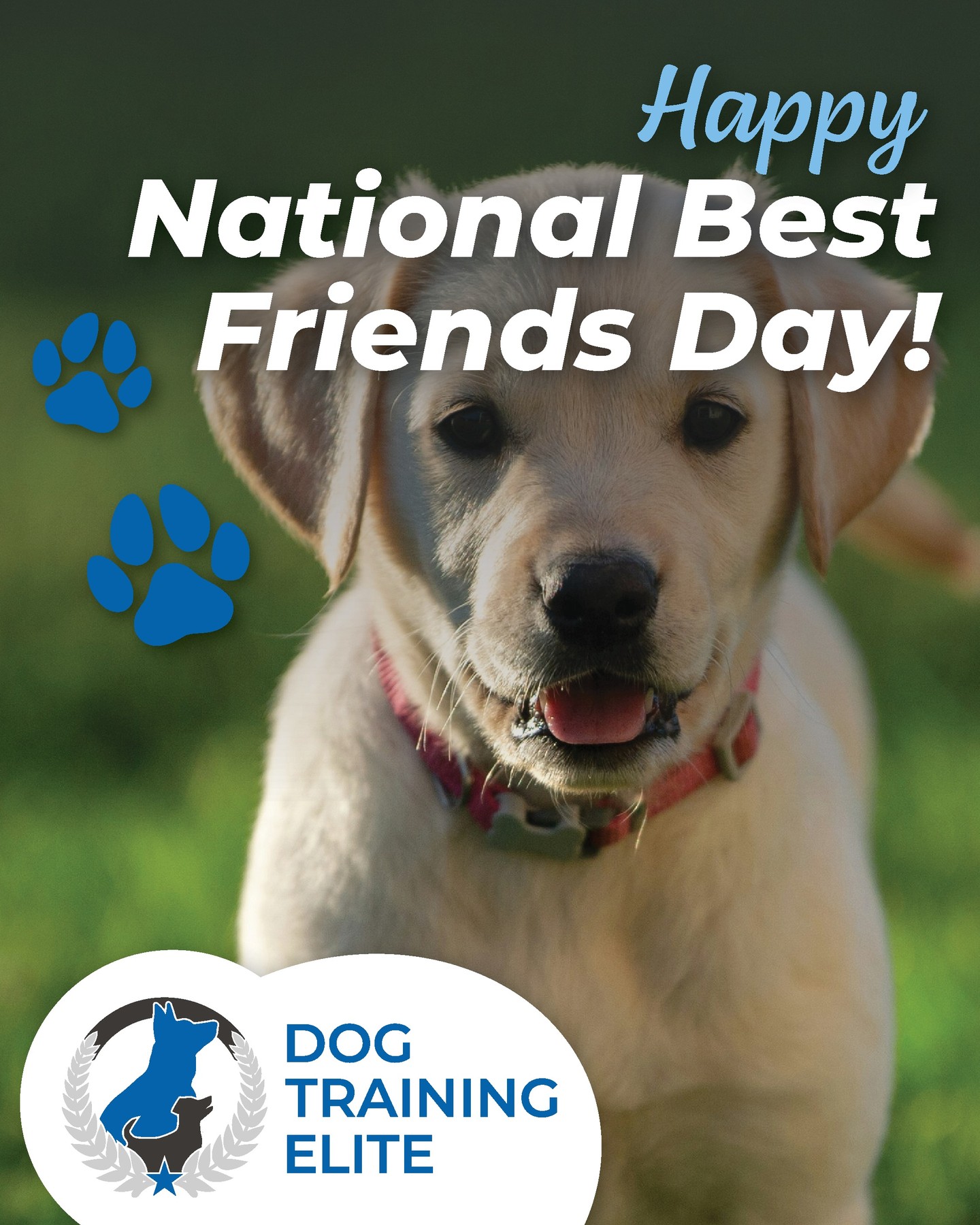 It's National Best Friends Day! Spend some quality time with your best friend today with a walk or some enrichment. 