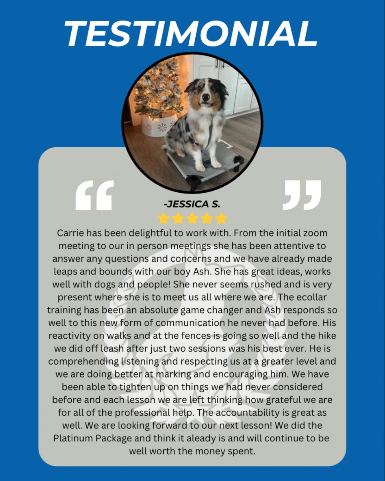 Nothing makes us prouder than seeing real progress and real confidence from the dogs and families we work with — another success story worth celebrating! 🎉🐶

At Dog Training Elite West Michigan, our balanced training helps dogs become confident, reliable, and focused. From Grand Rapids to Muskegon, Holland, and beyond, we support families with structure, clarity, and proven training methods. 💪🐕

🎯 Whether you’re working on solid obedience or preparing a future service or therapy dog, we’re here to help your dog thrive this season.
👉 https://dogtrainingelite.com/grand-rapids


DogLover PuppyTraining GoodDogGoals DogsOfIG HappyDogsHappyHomes InHomeDogTraining DogTrainingElite EliteTrainingForDogs