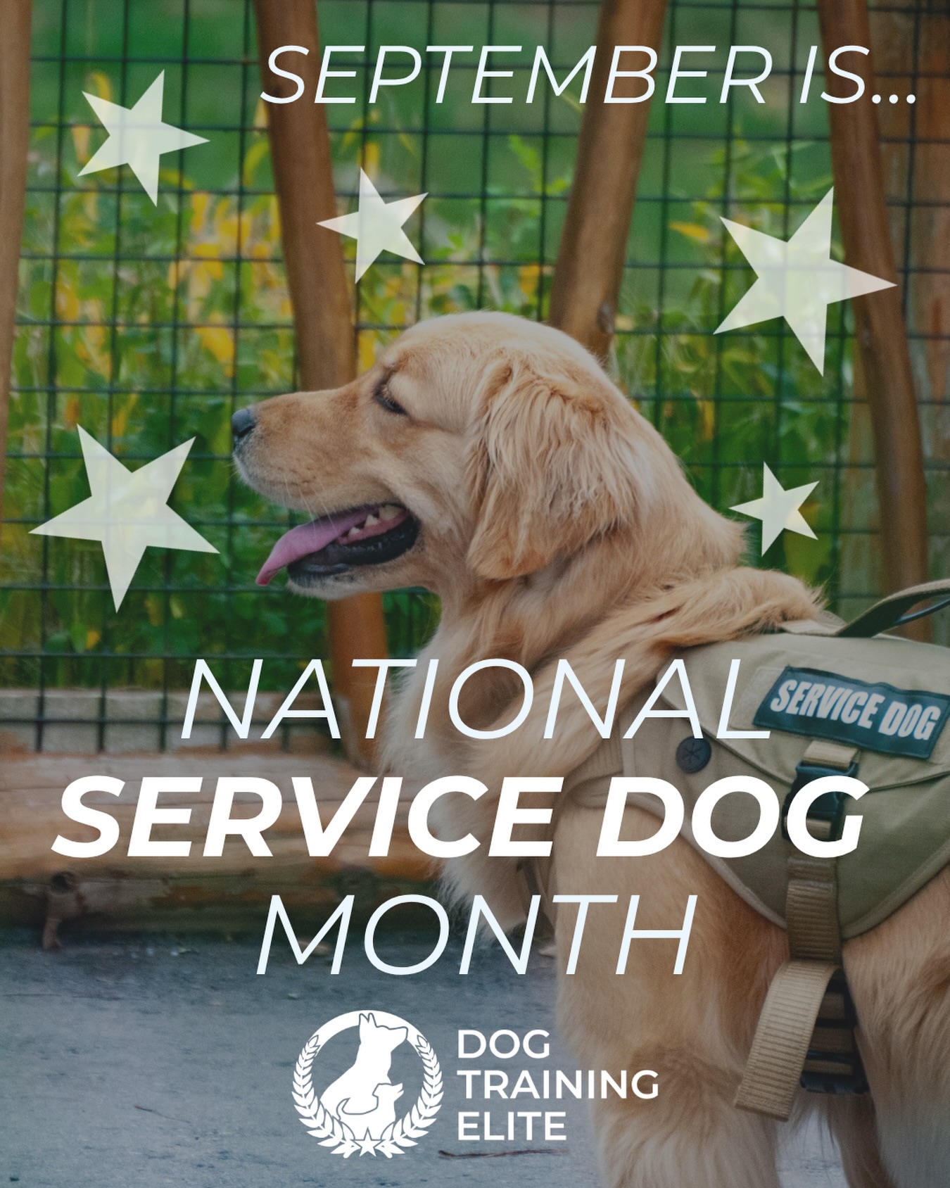🐕&zwj;🦺 Some dogs change lives.

September is National Service Dog Month! 💙

These incredible dogs provide independence, confidence, safety, and freedom to the people who rely on them every day.

We&rsquo;re honored to be part of their journey. 🐾✨


