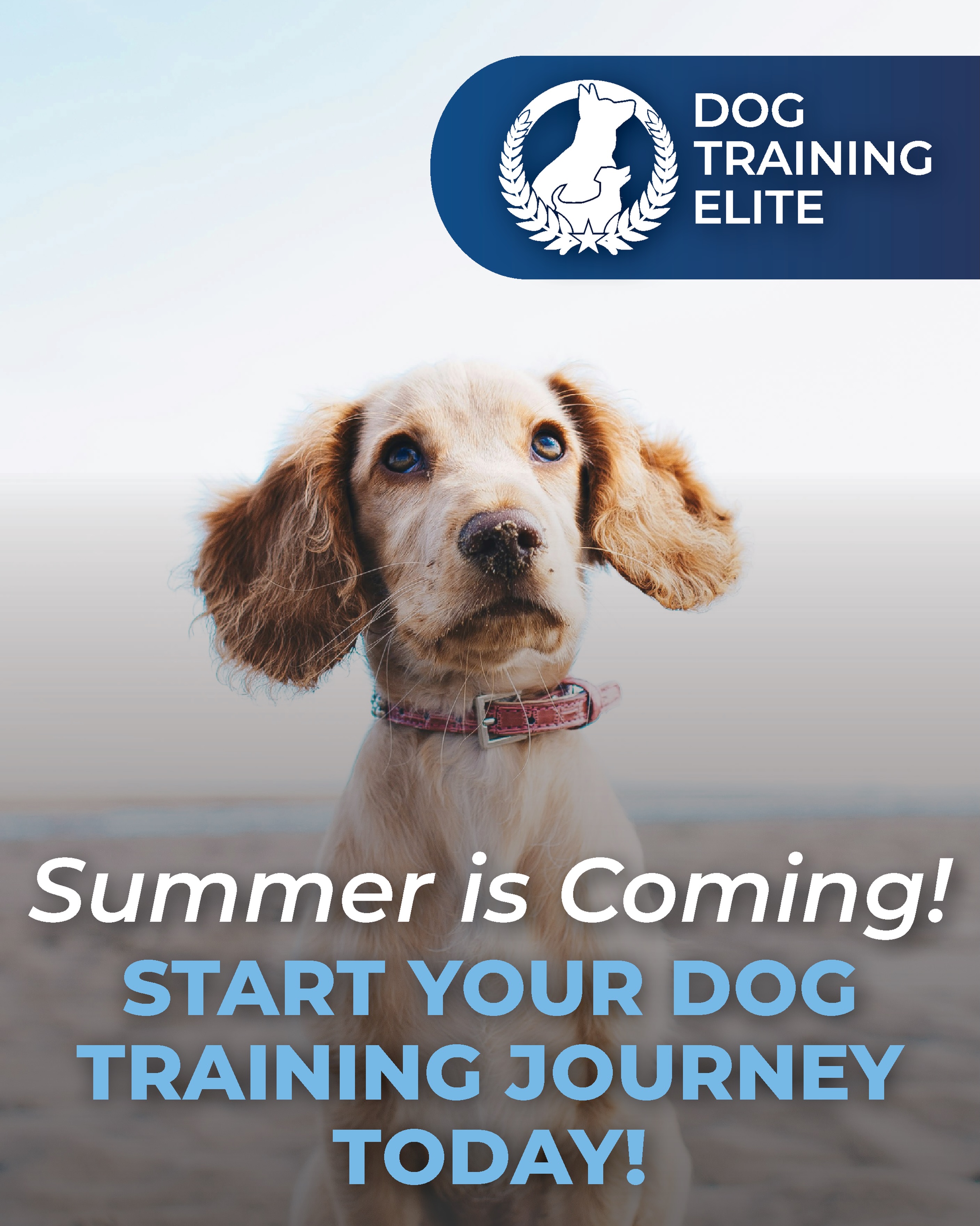 ☀️ Summer is almost here!

Now is the perfect time to start your dog training journey so you and your pup can enjoy all the fun the season brings 🐶🌊☀️

From beach days and hikes to patio outings and park adventures, good obedience helps make every outing more enjoyable. Start building the skills now and head into summer with confidence!

Connect with us today to get started!

