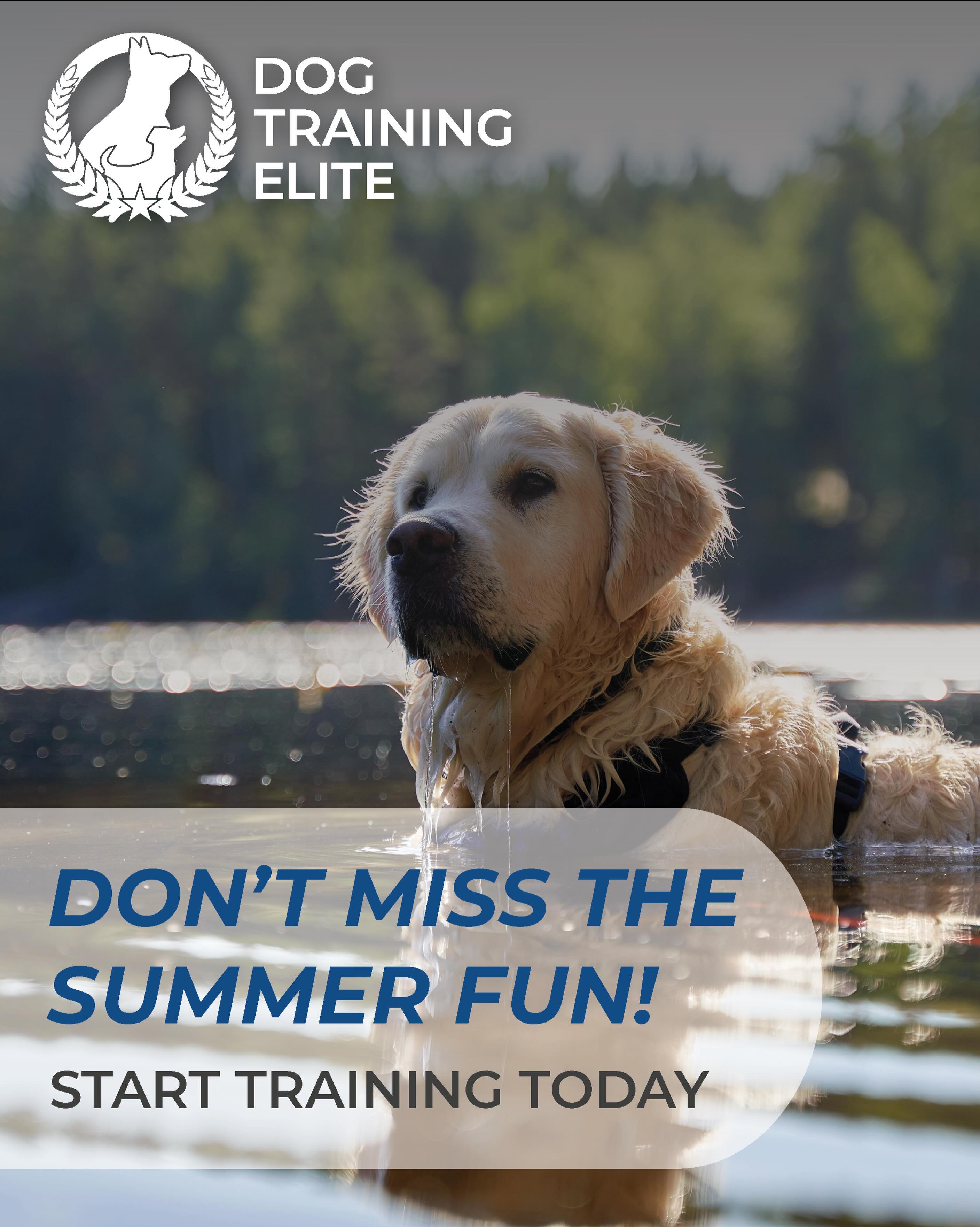 Don&rsquo;t miss out on summer fun with your dog! ☀️🐾 Start training now so you can enjoy more freedom, confidence, and adventures together all season long.

