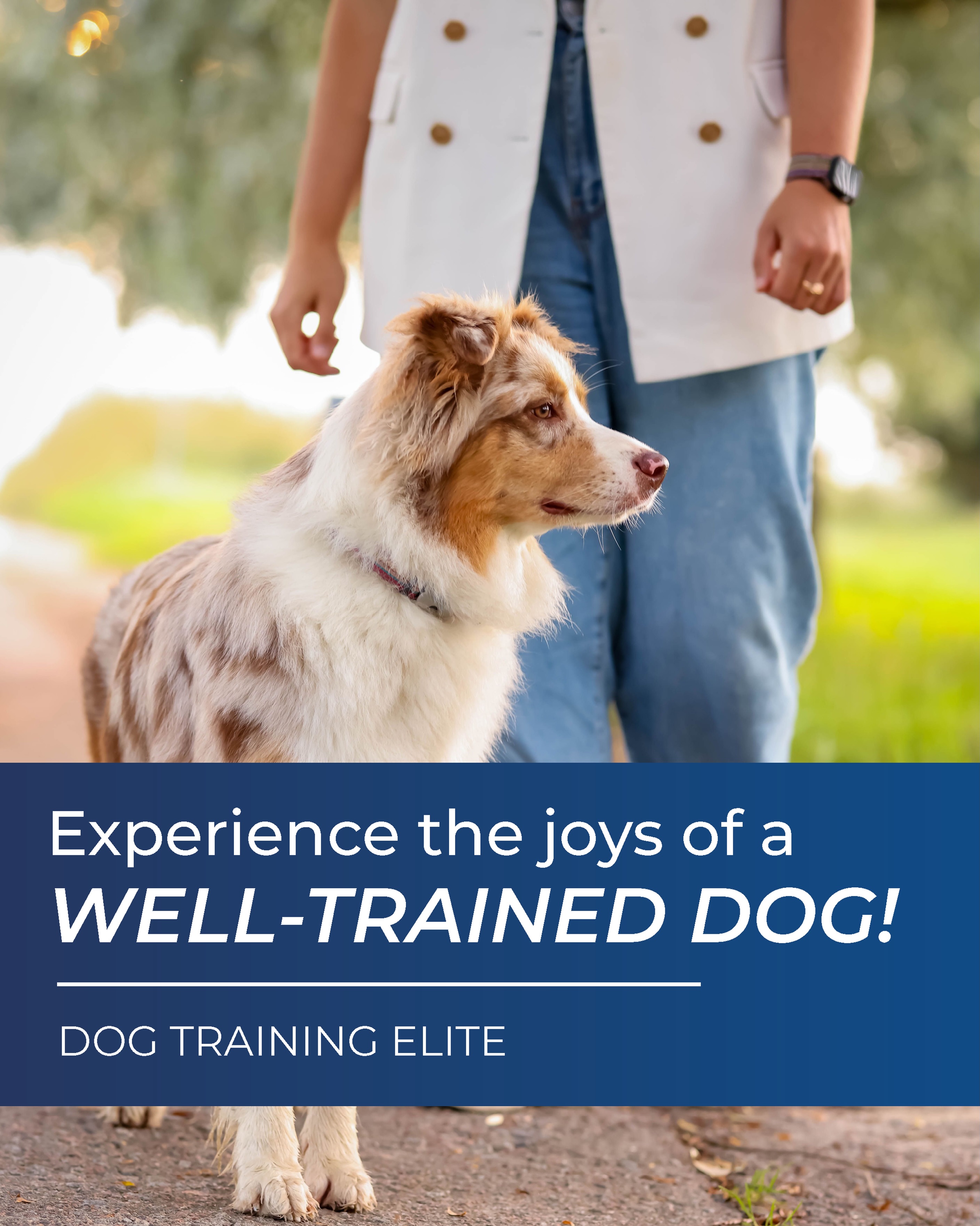 🐾 Experience the joys of a well-trained dog! 🐶✨

Better manners, more freedom, and a dog you can enjoy anywhere. Start your training journey today!

📩 DM us to learn more!

