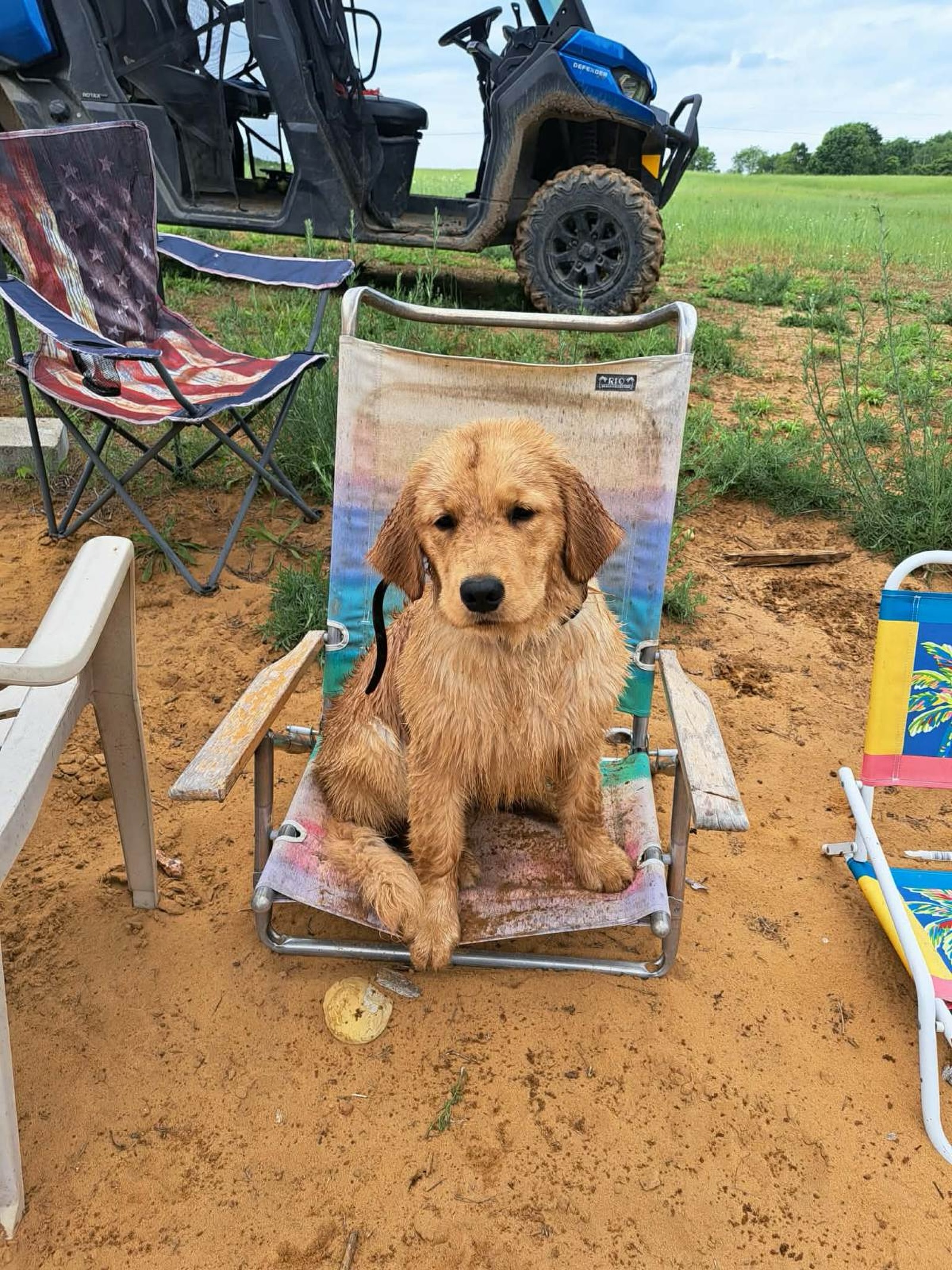 Saturday smiles brought to you by sandy, soaking wet Golden Retriever puppy, Oats, living her best beach life 🐾😁🏖️

Proof that the best adventures usually end with wet paws, sandy fur, and a very happy pup 💙

Do you have a picture of your dog enjoying the beach to share? Drop it in the comments! 🏖️🐶

☀️