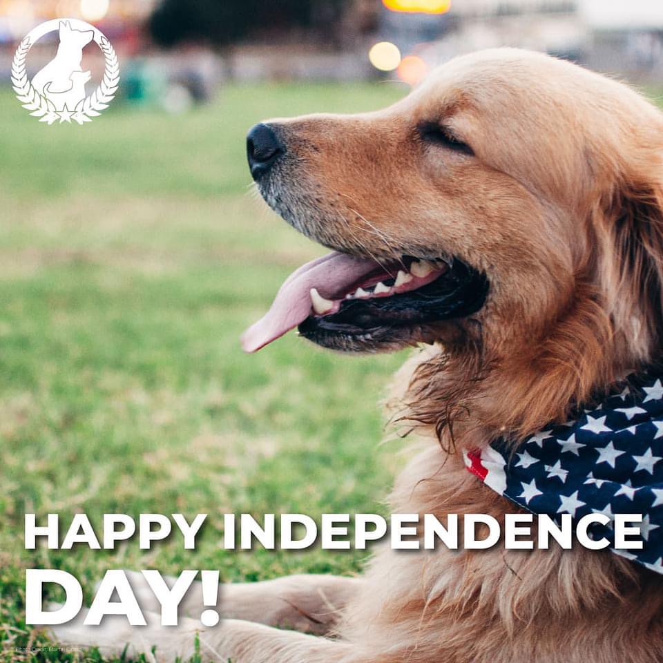 🇺🇸As we celebrate our nation&rsquo;s freedom, we honor the brave people dedicated to preserving it. &hearts;️🤍💙



🇺🇸 

